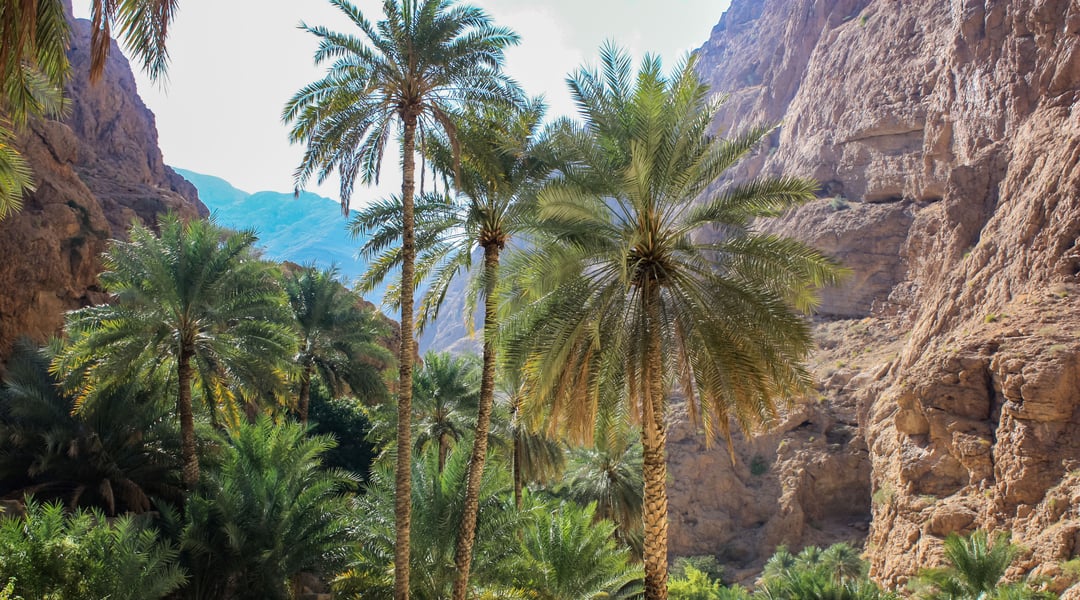 iStock-600148814.jpg