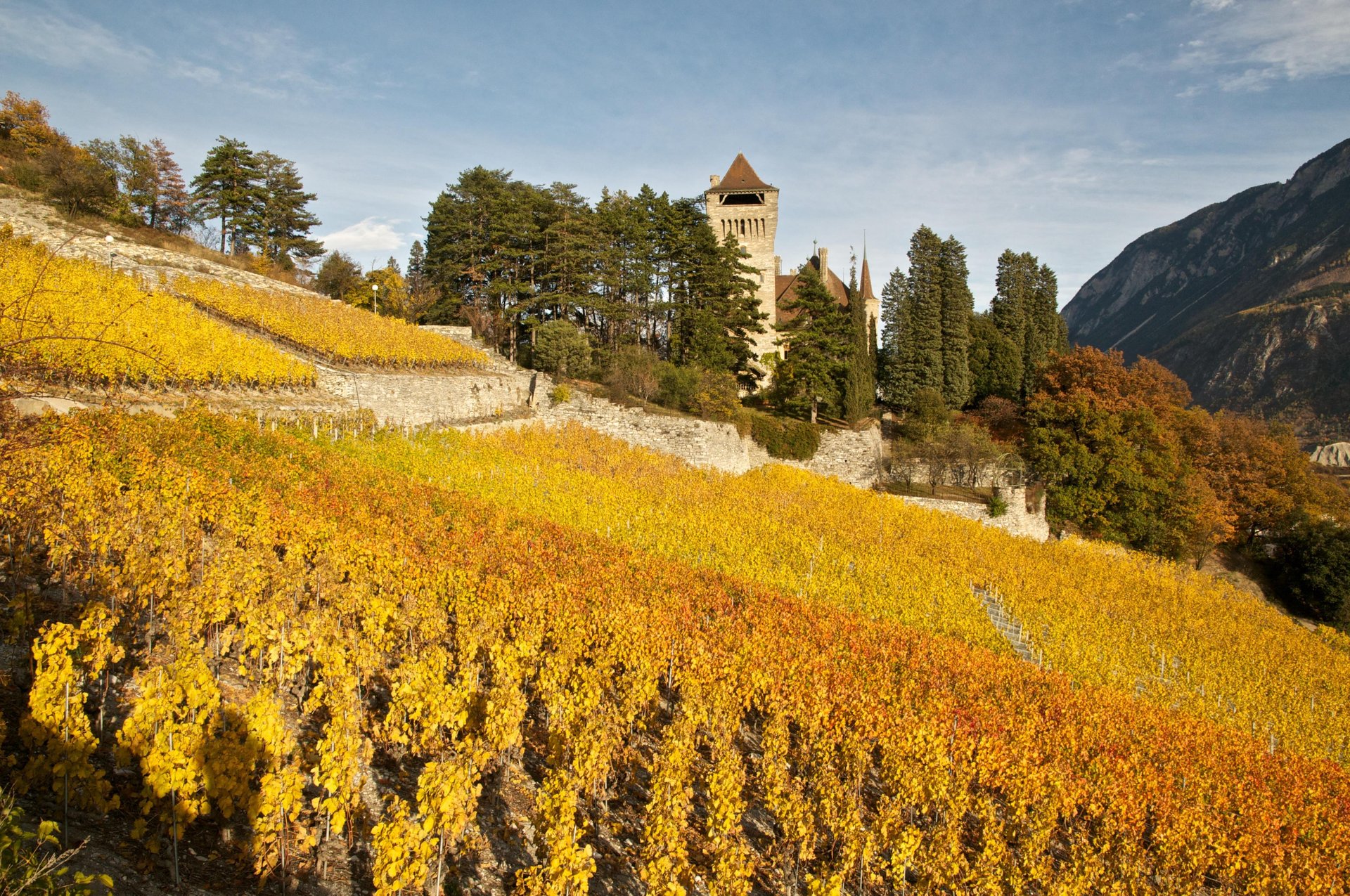 Domaine Mercier I March 2026 I Cattani Collection I Kempinski Palace Engelberg