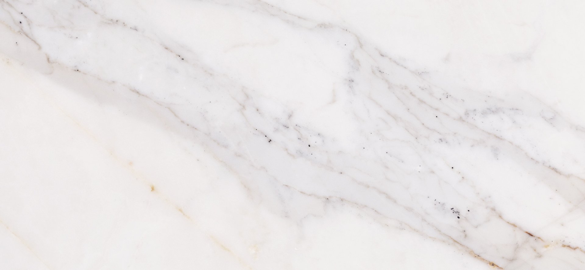 Terms of Use for Guest Wi-Fi