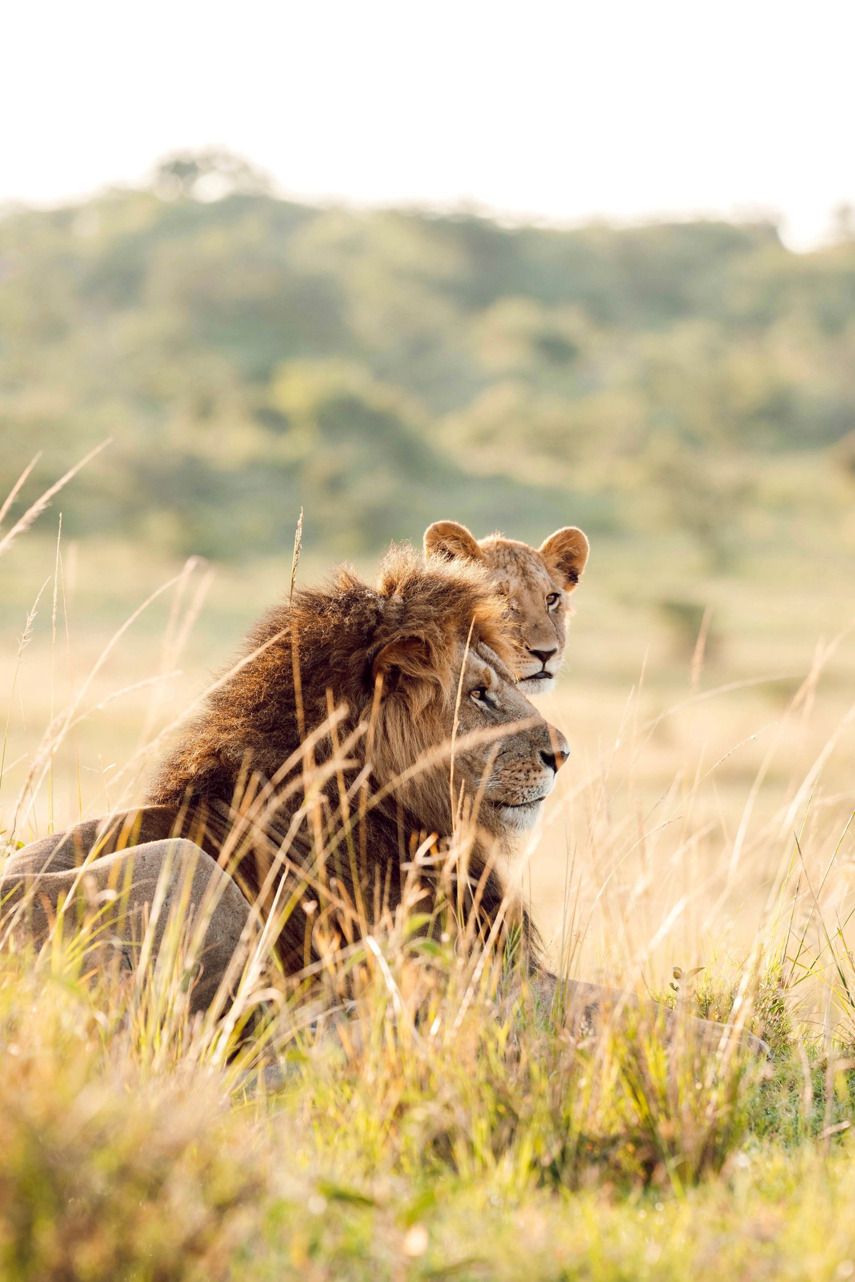 Carlin Meyer Influencer_High Res_33771.jpg