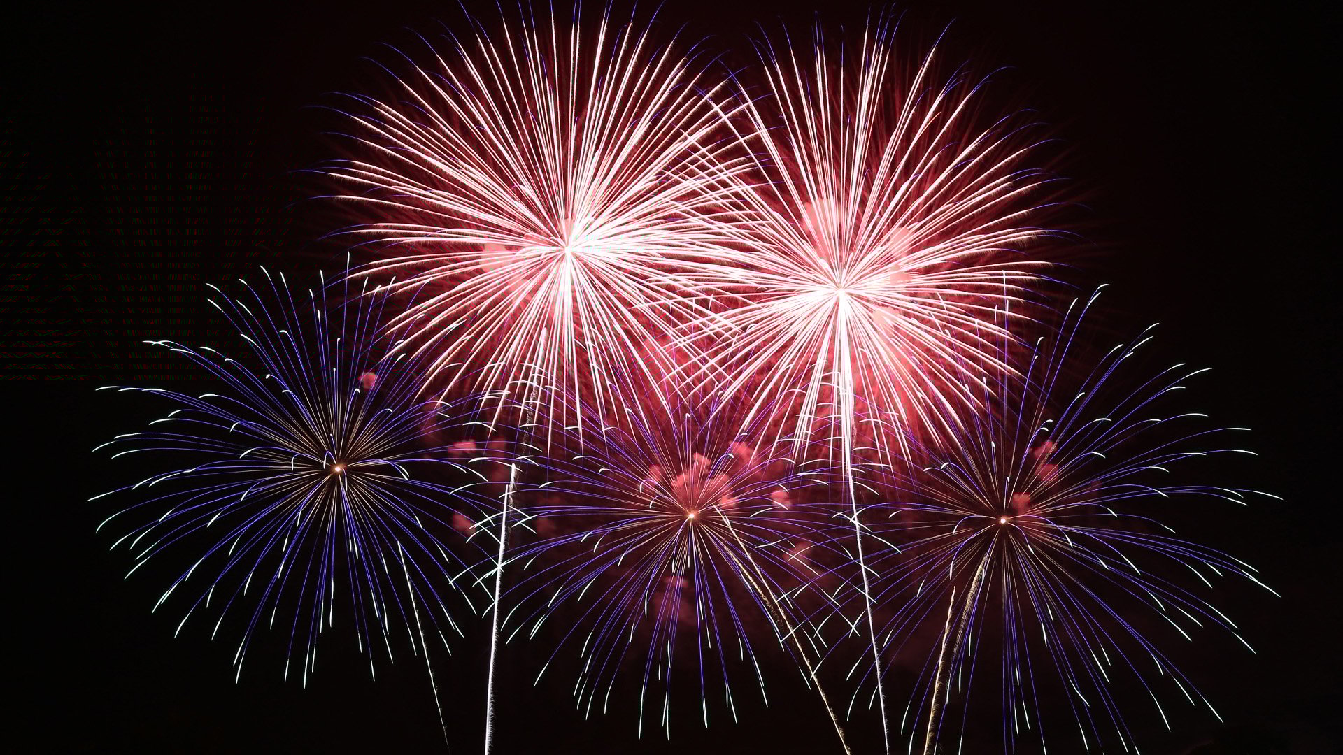 Magical New Year's Eve