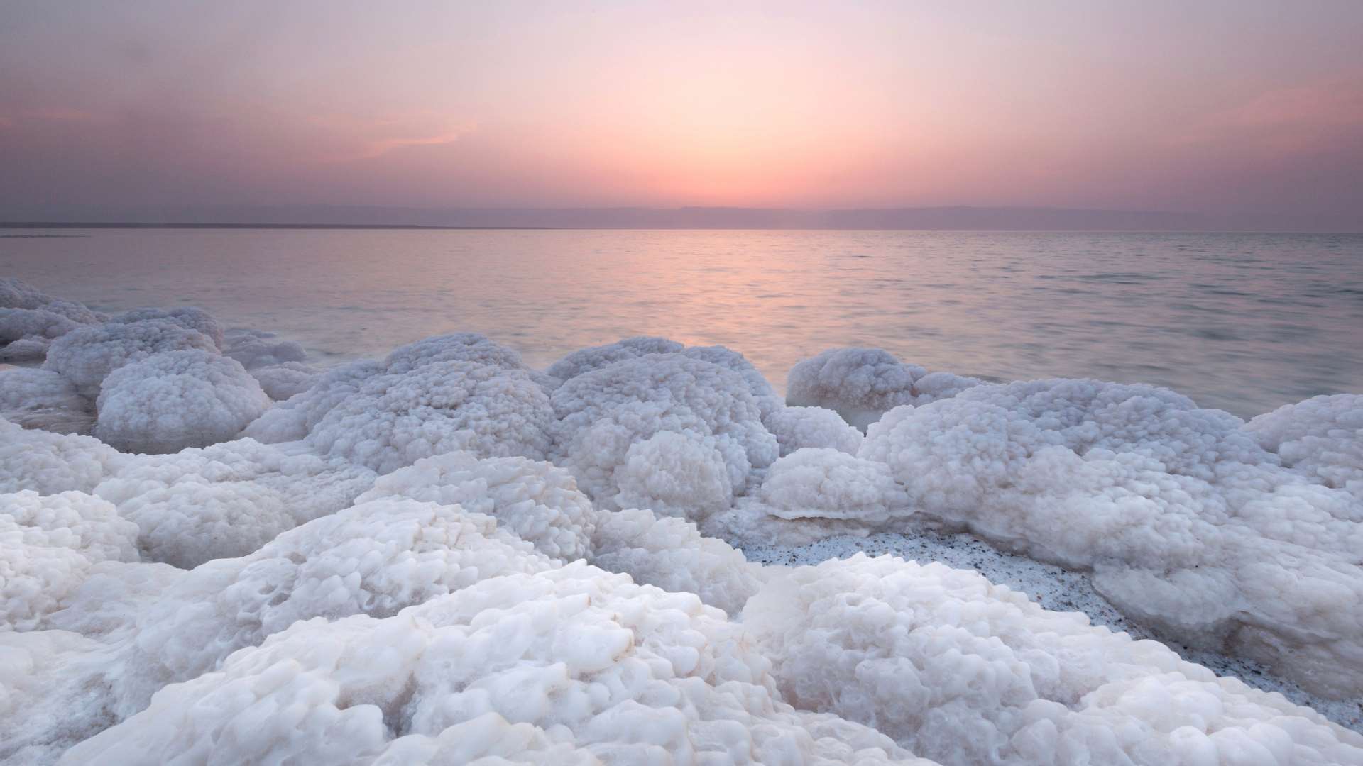 The Dead Sea