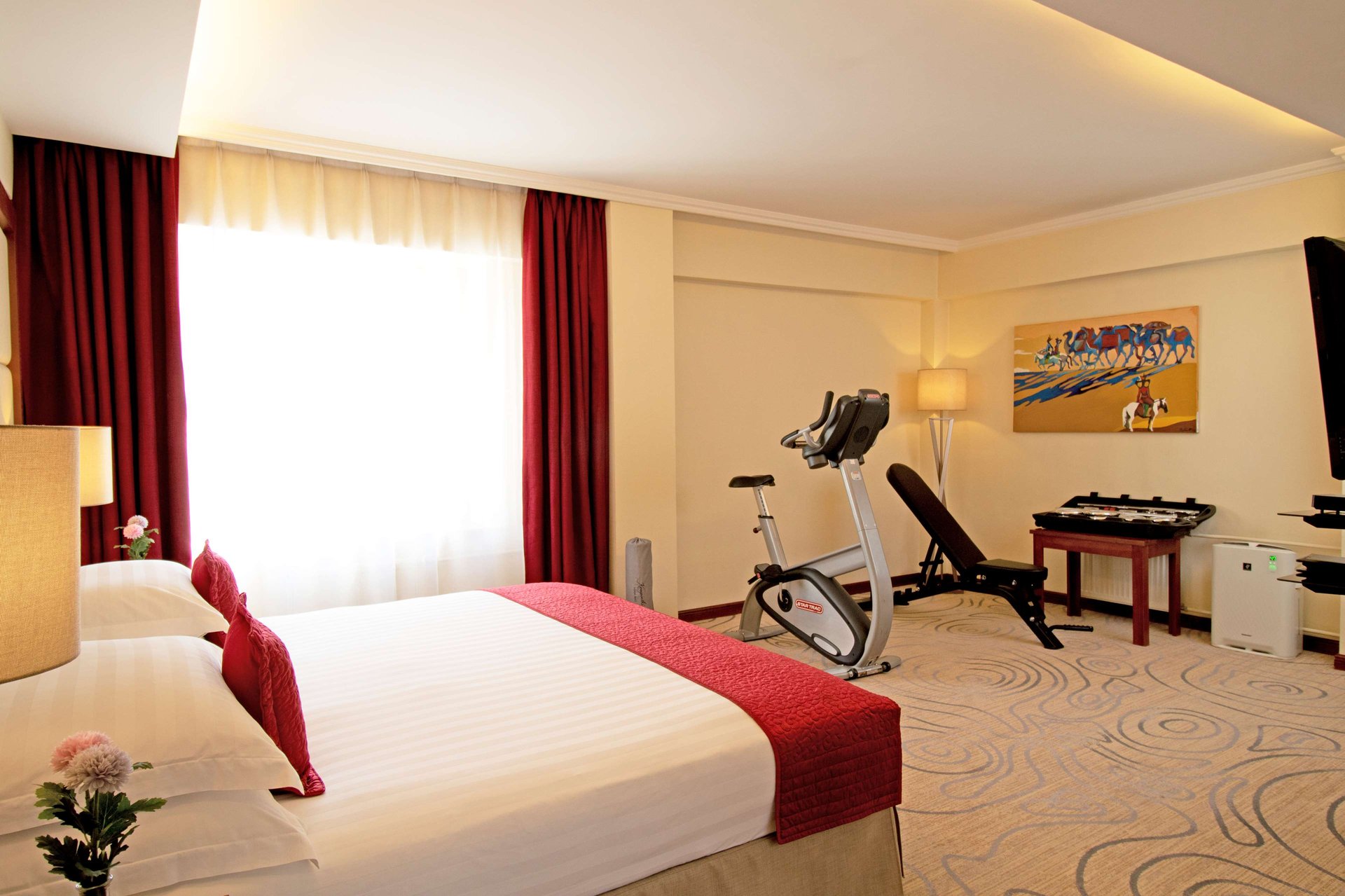 Superior Suite