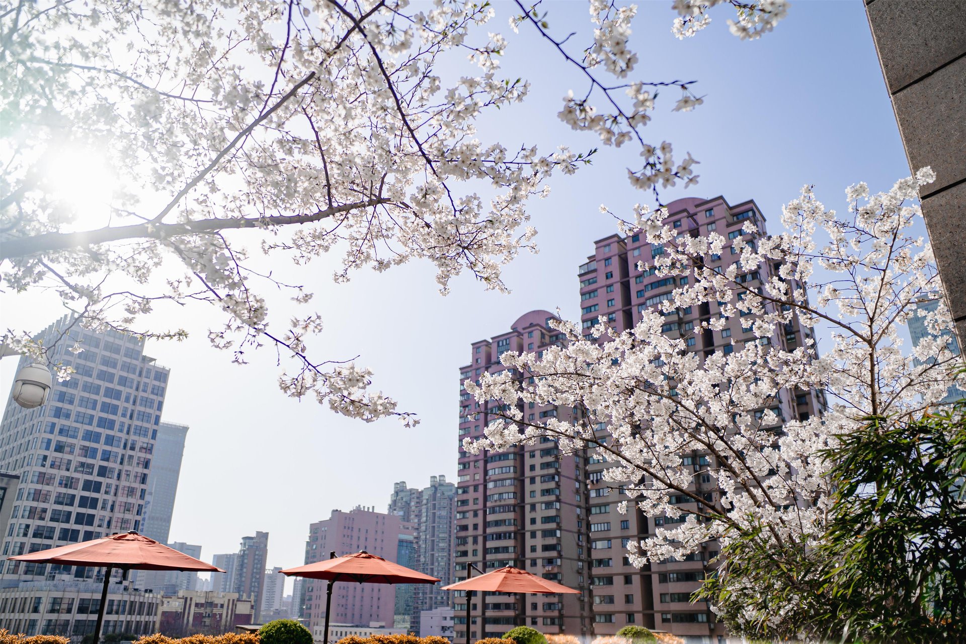 The One Executive Suites managed by Kempinski - Shanghai - Exterior