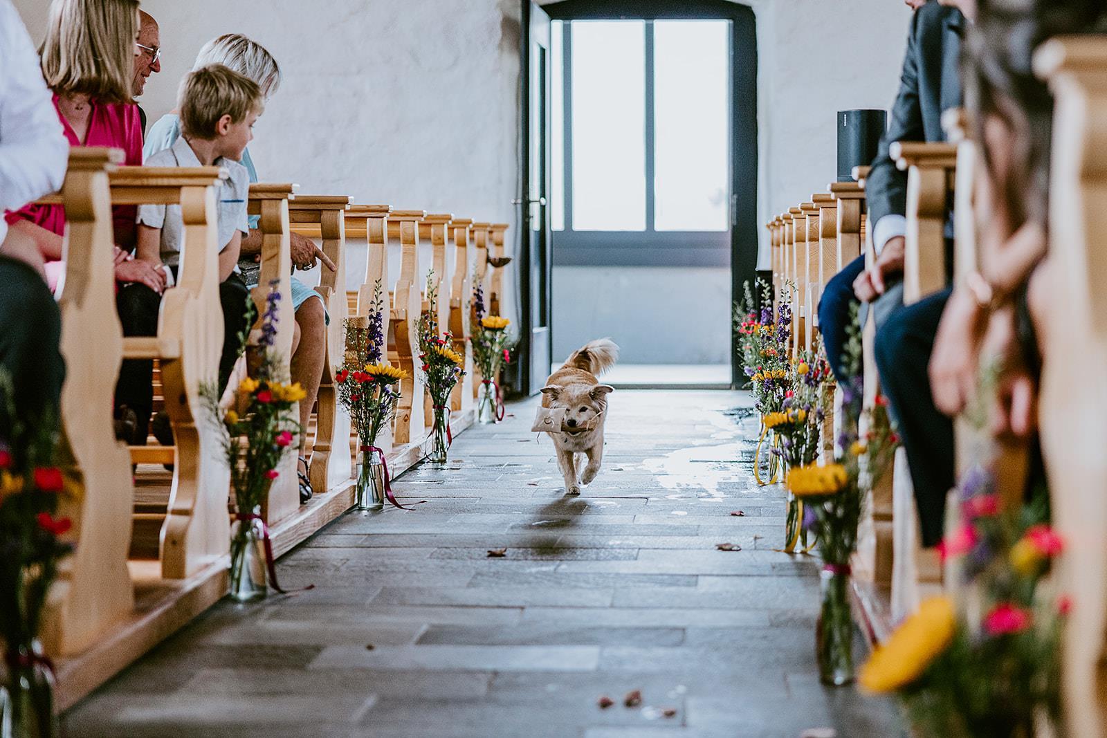 Frutt Lodge - Property amenity