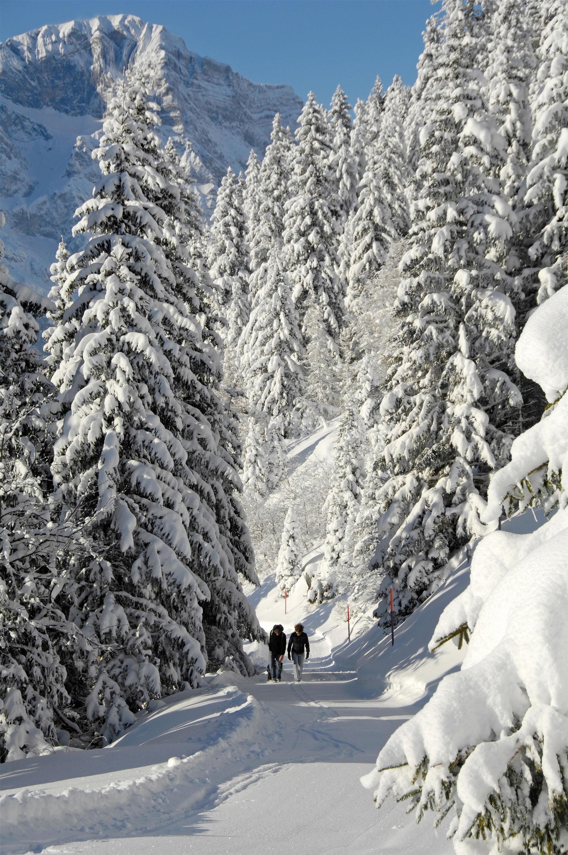 Idées d'événements hivernaux