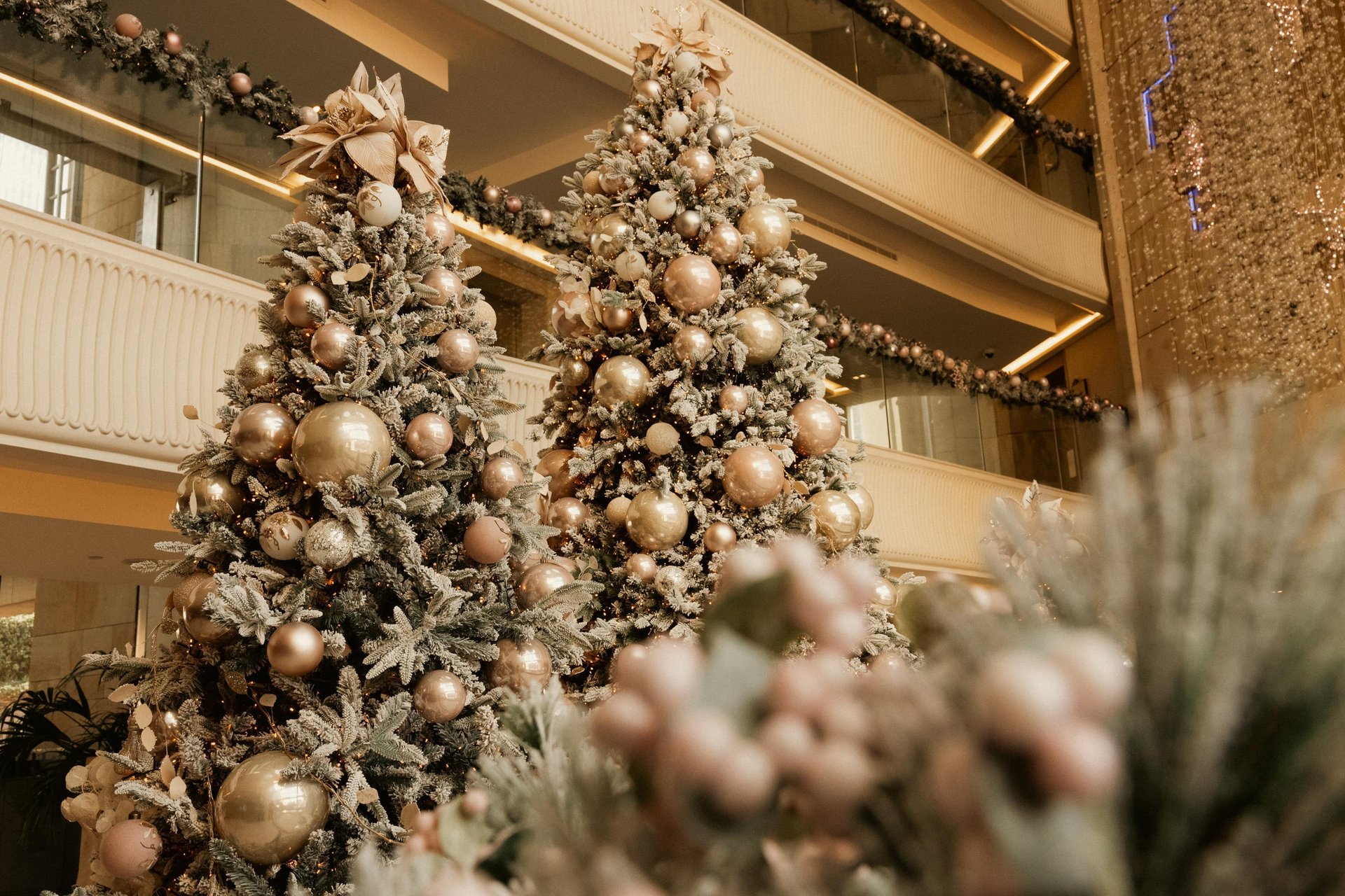 Let the Season Shine