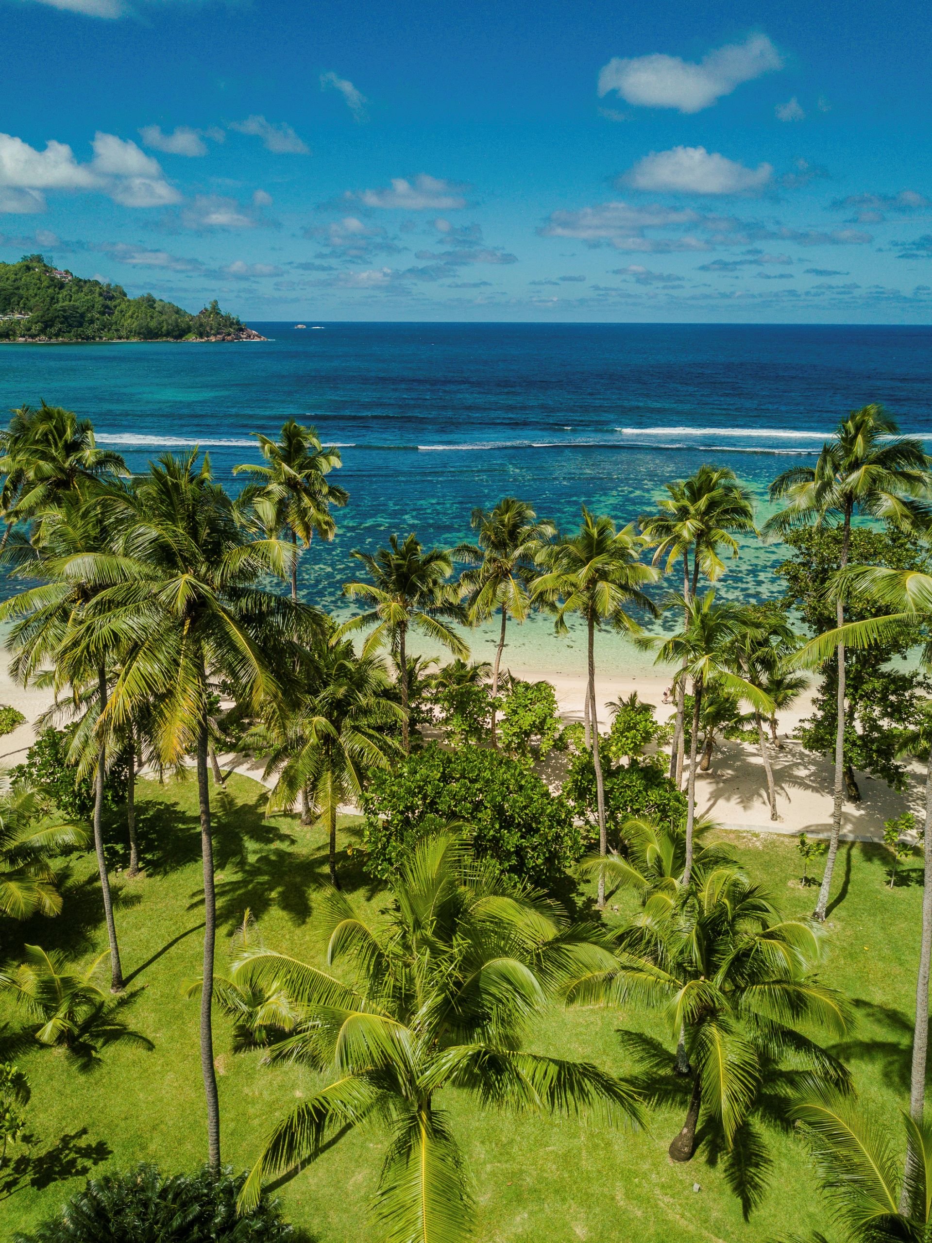 KiSEZ_Tropical Garden_High Res_4498.jpg