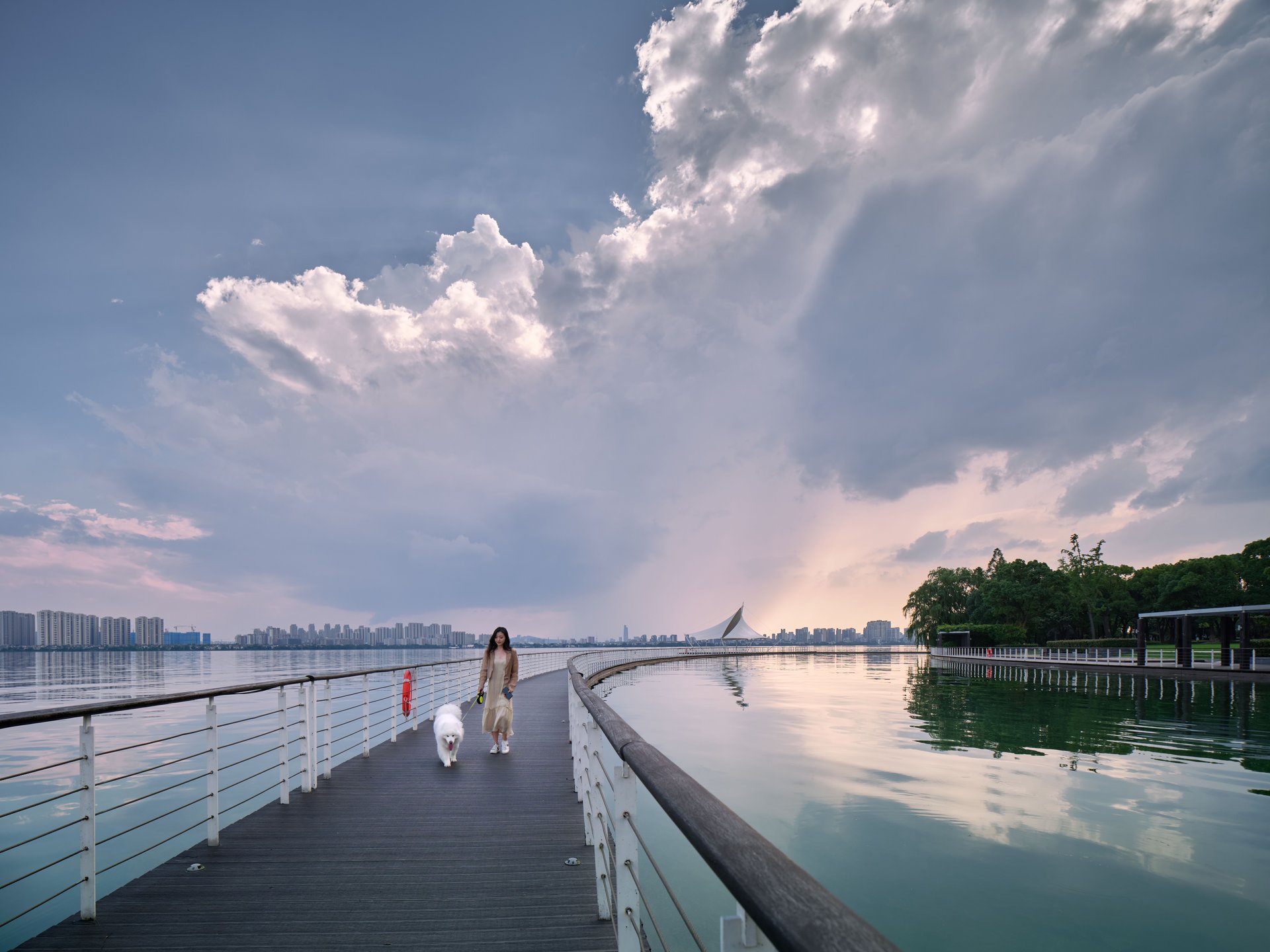 Travel Inspiration: Pets, Wellness and More