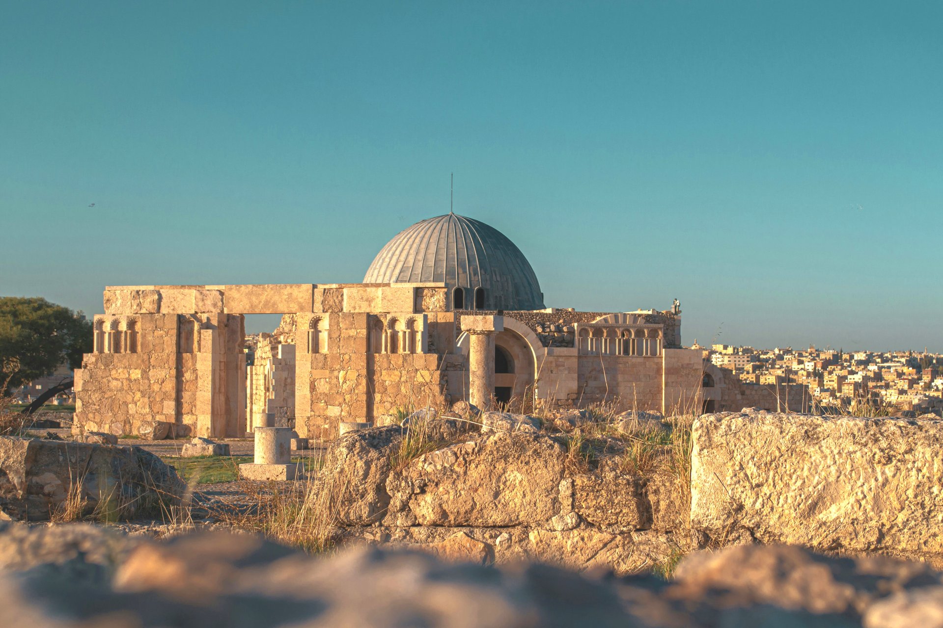 mohammad-almashni-vOf3uYa8Xy8-unsplash.jpg