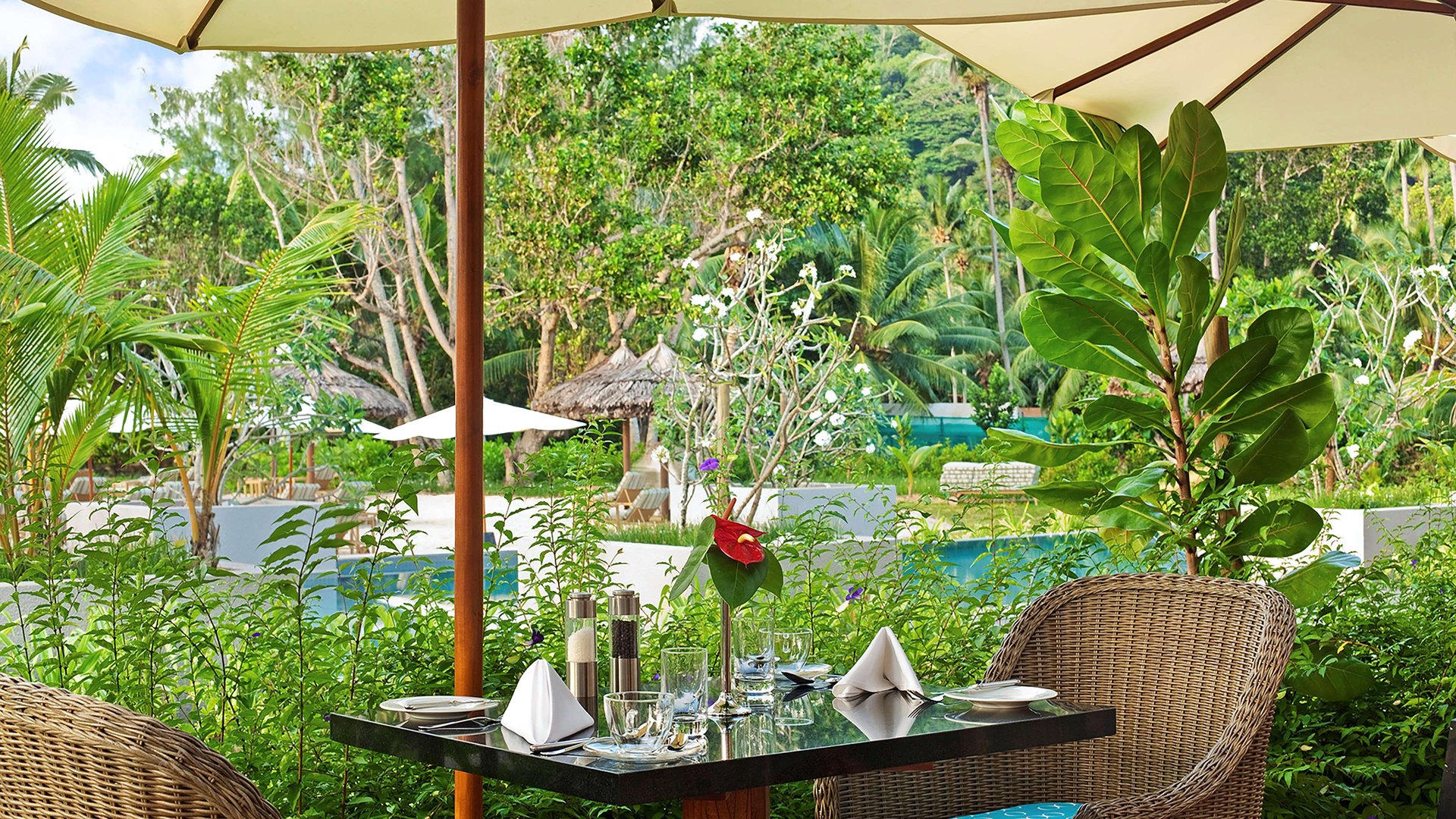 Restaurants & Bars