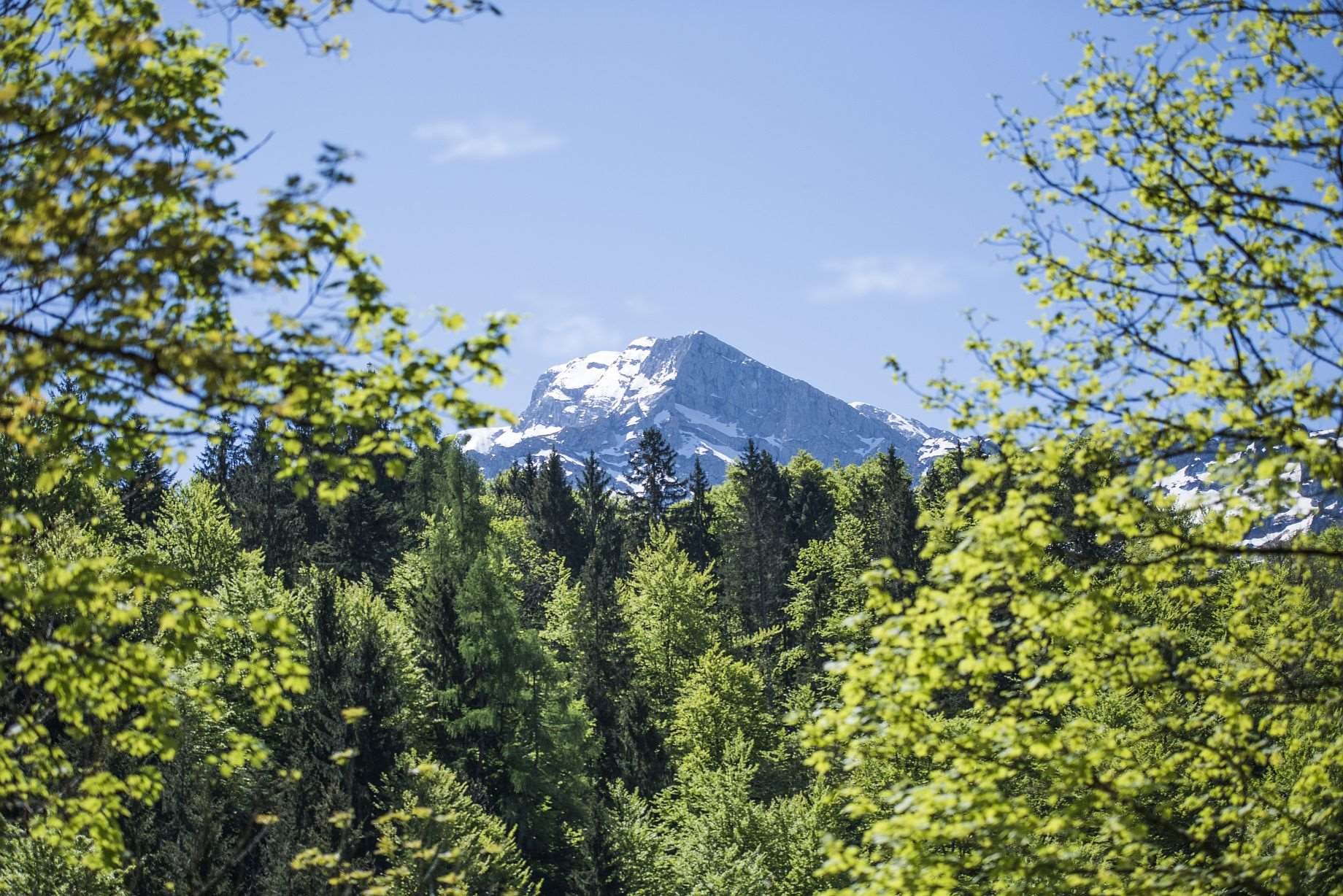 Kempinski Hotel Berchtesgarden - Miscellaneous