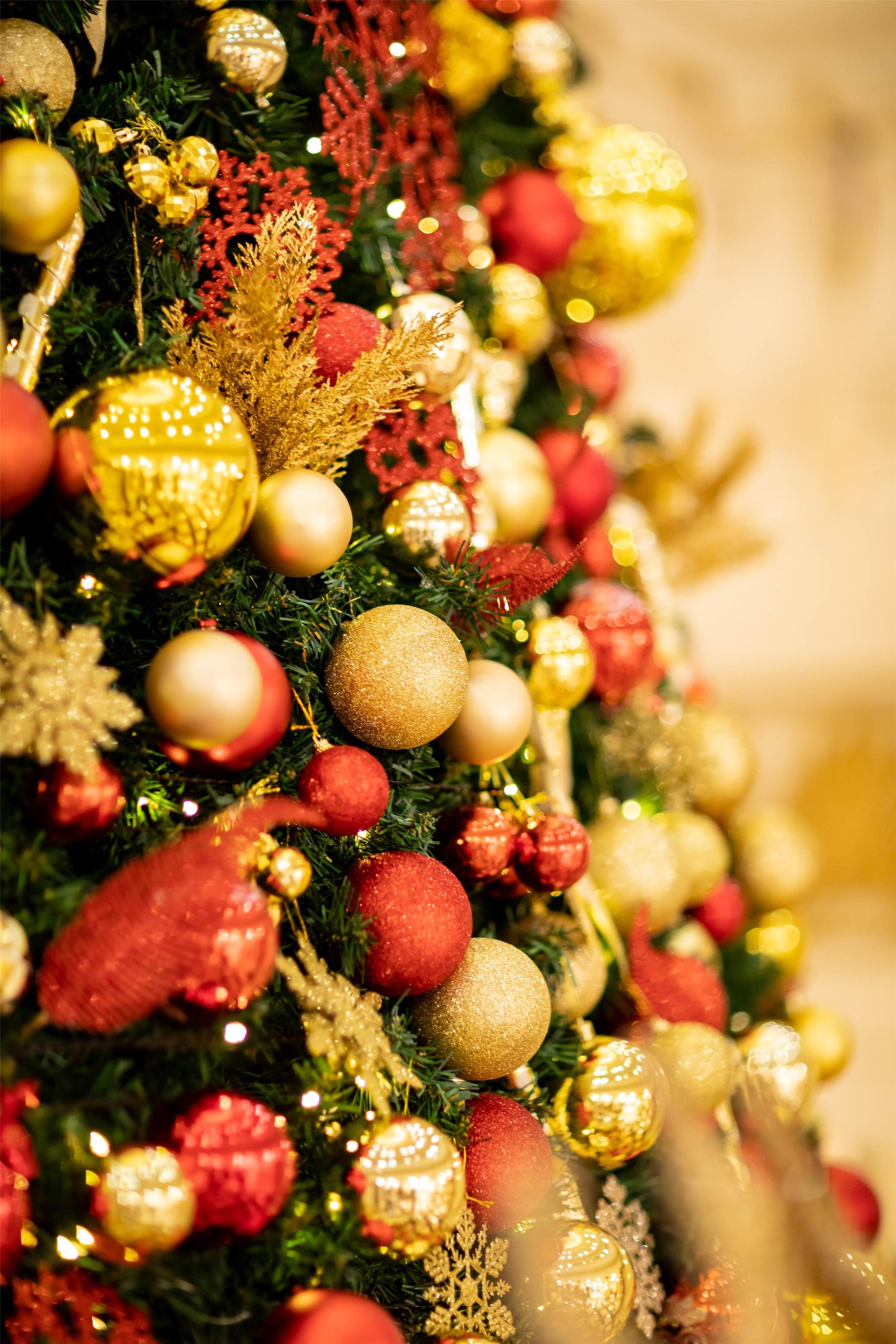 The Festive Nights of Gilded Lights