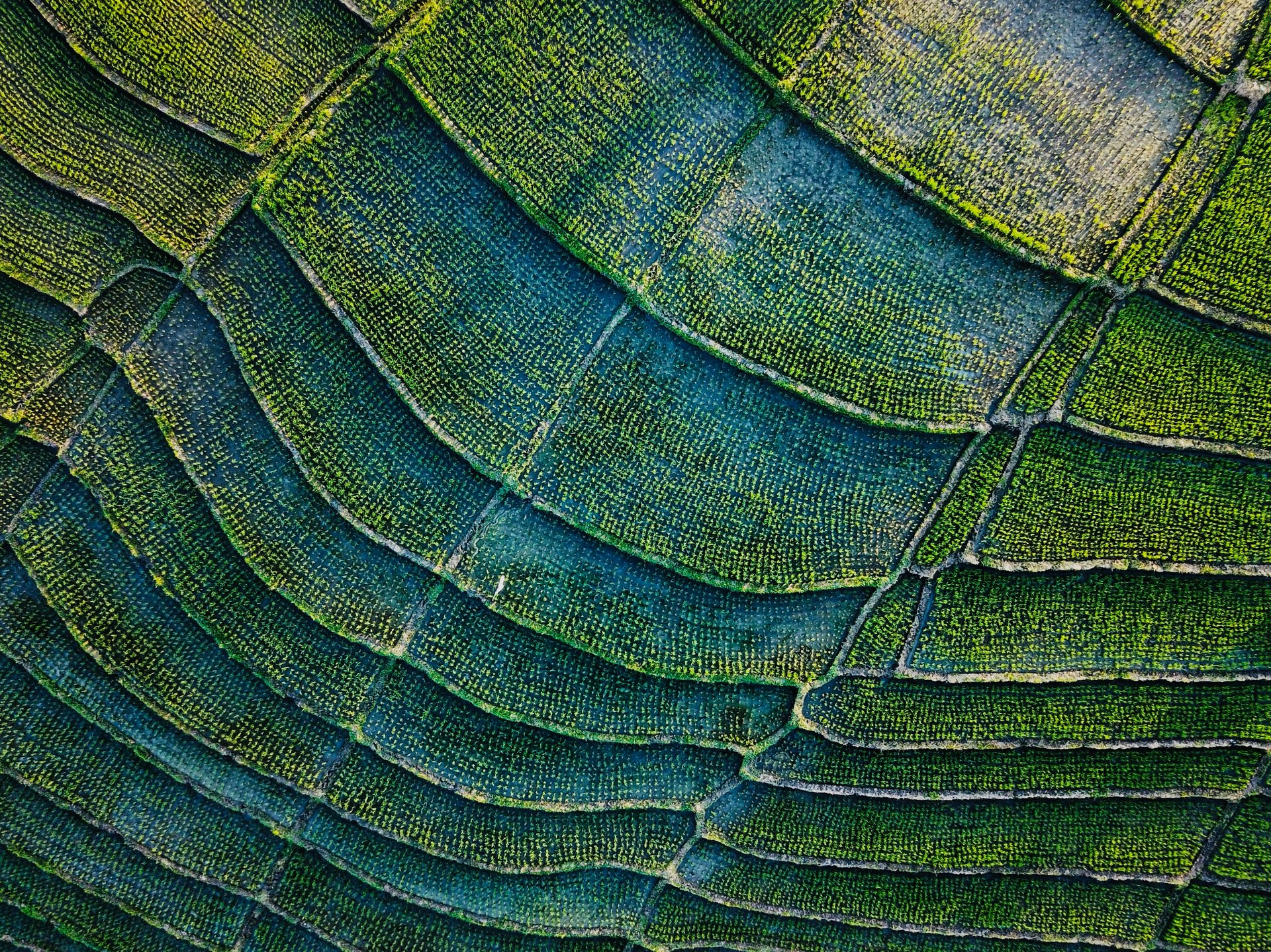 Live Local: Nature Edition