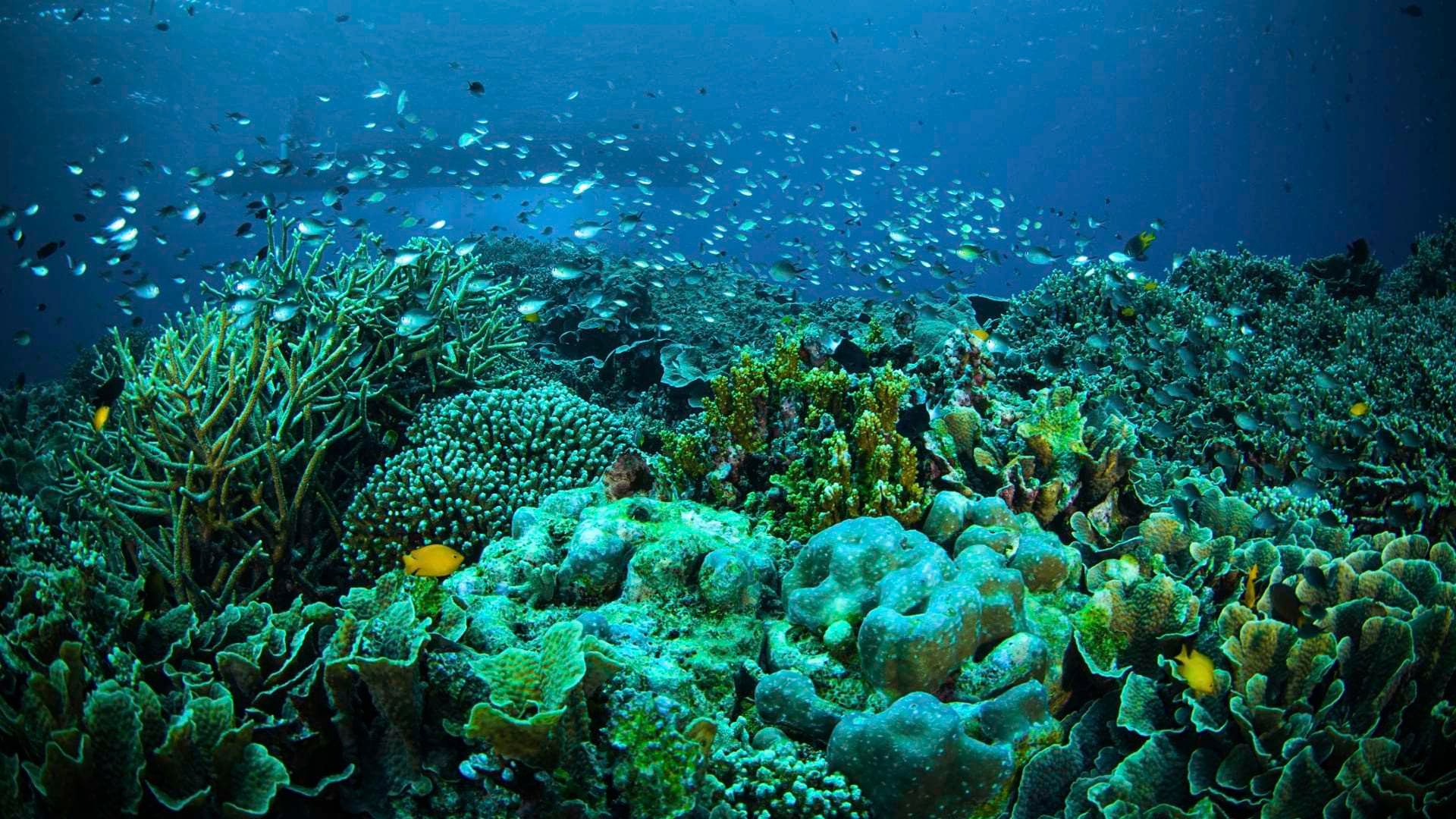 Hotel Indonesia Kempinski Jakarta Strengthens Commitment to Sustainability