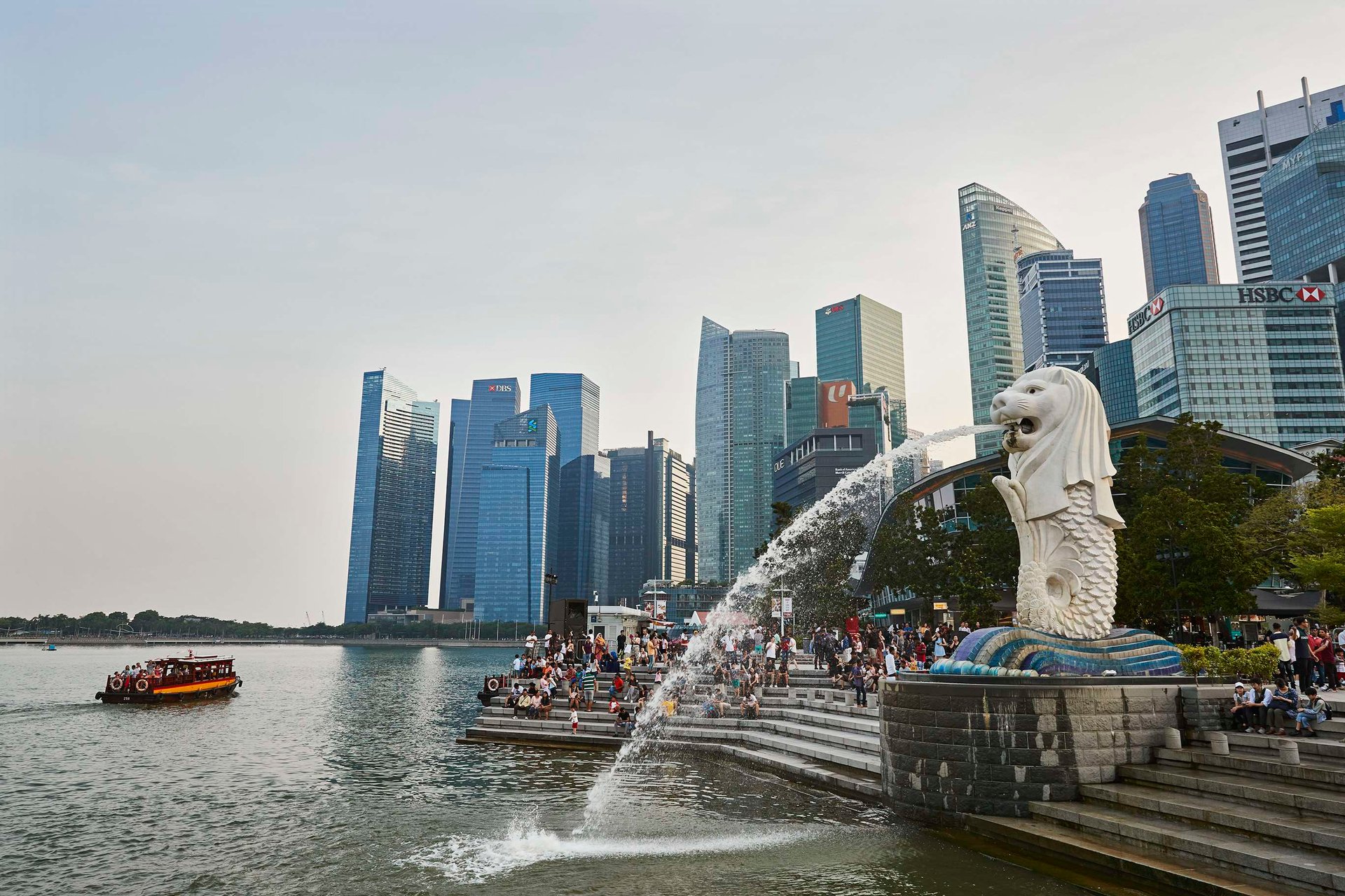 Travel Pulse