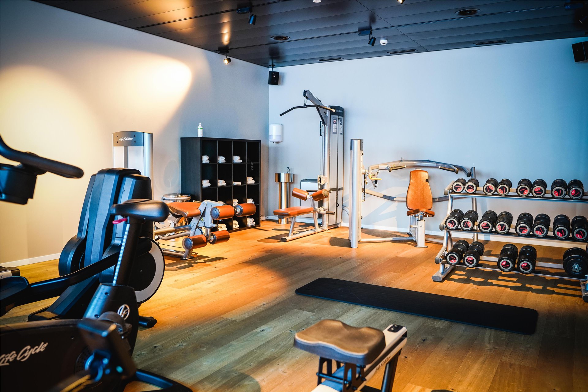 Frutt Lodge - Health club