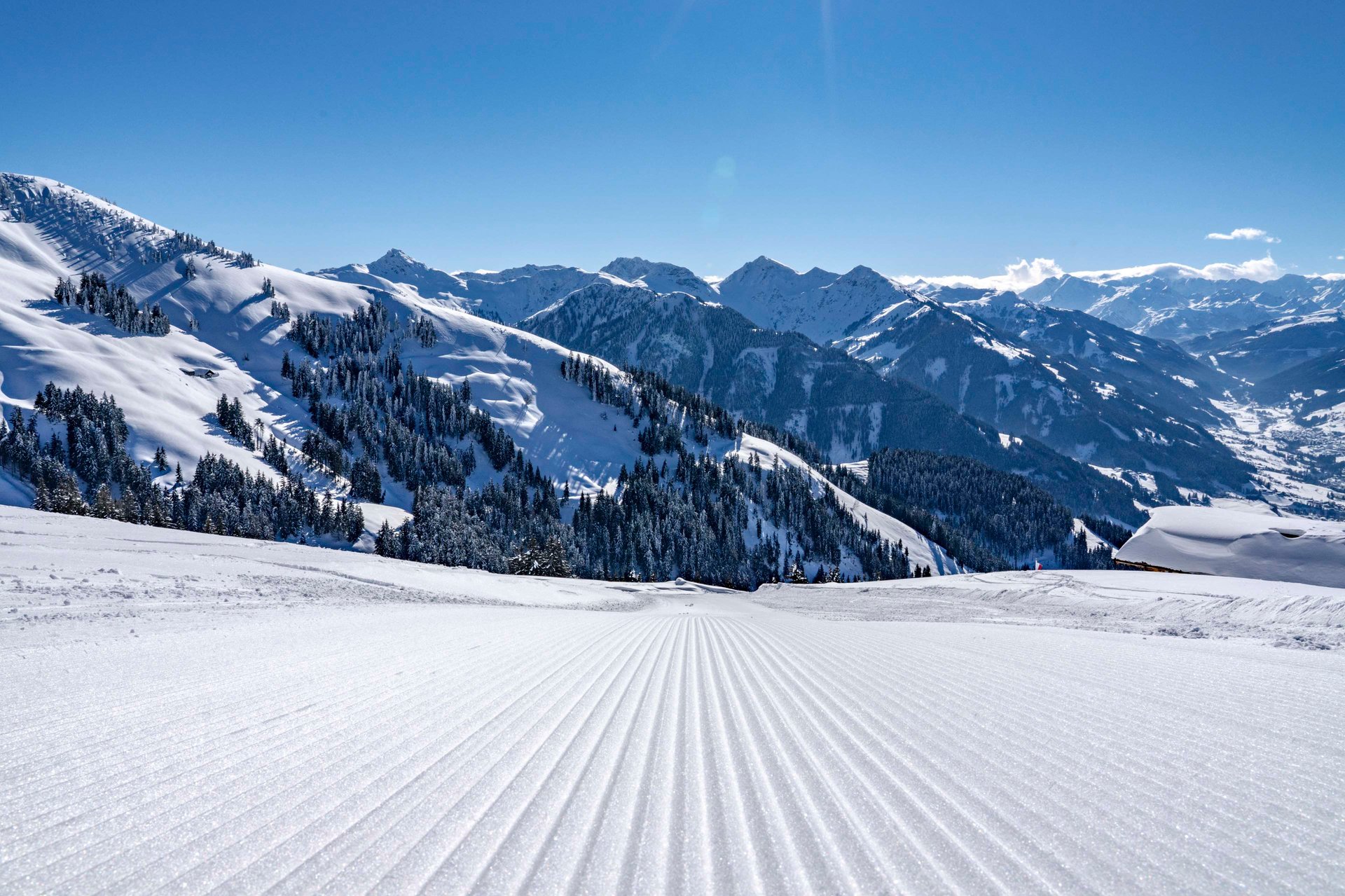 Tobogganing in the Alps