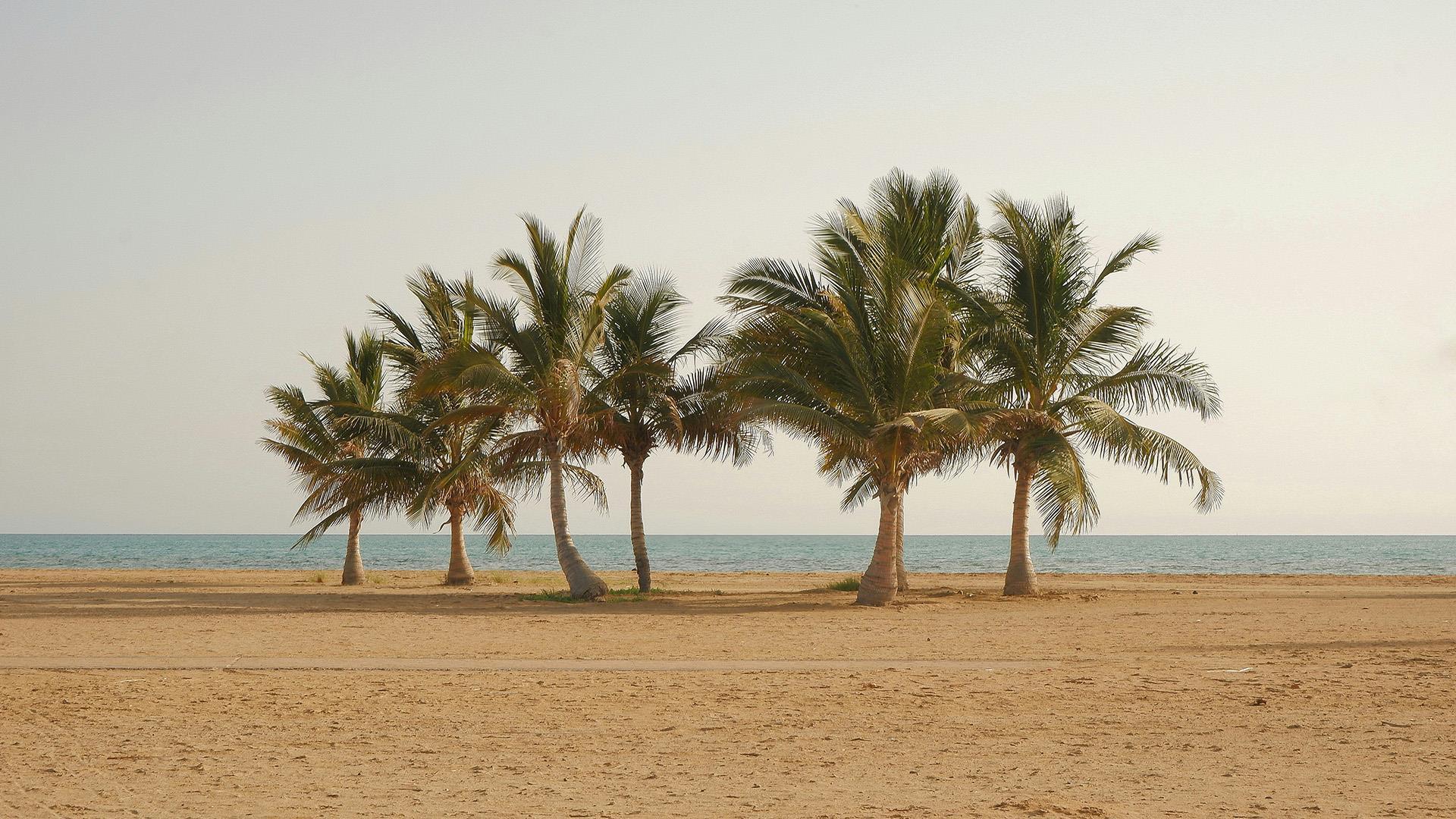 Leisure and Marine Experiences in Yanbu