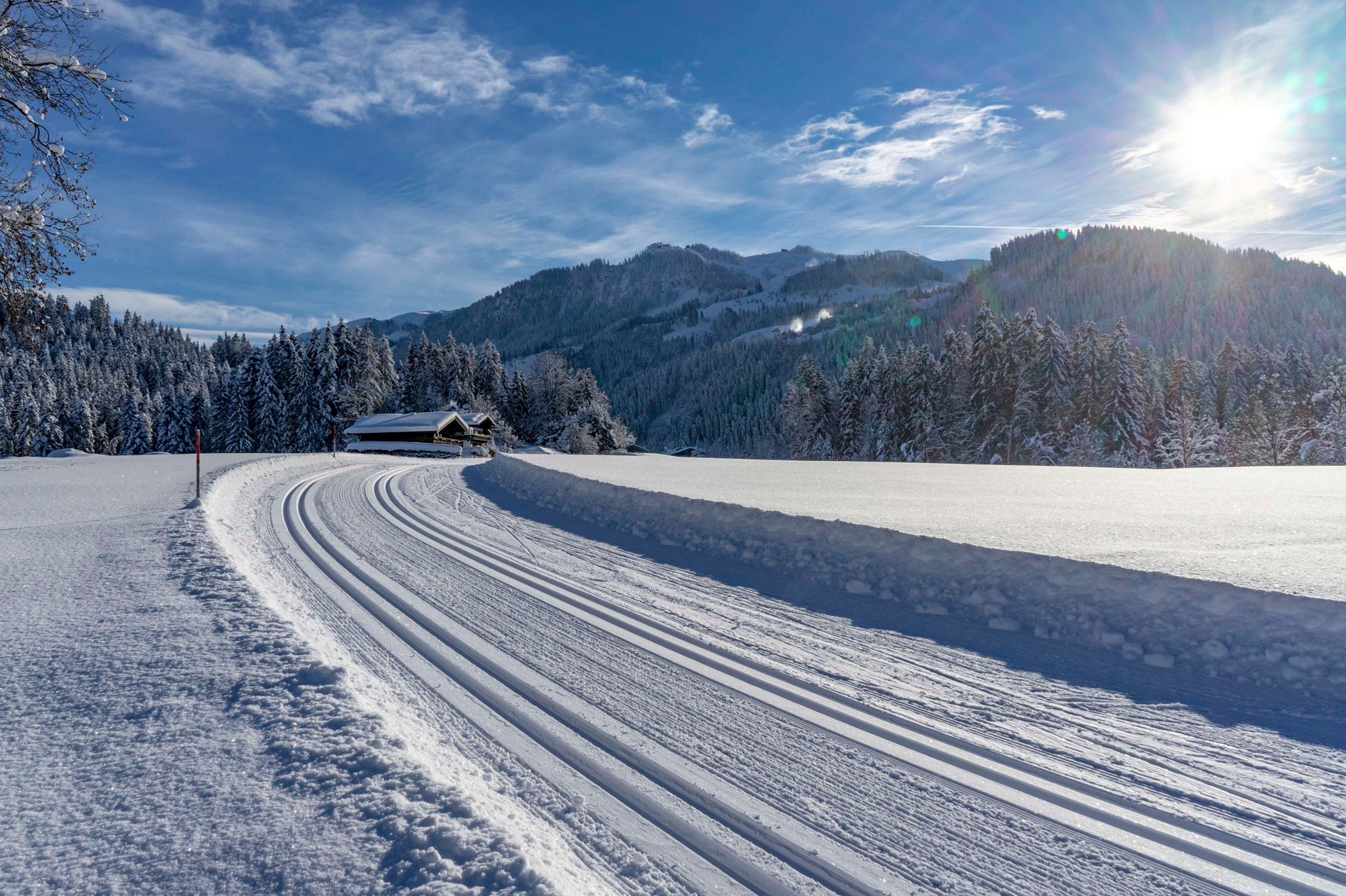 Cross-Country Skiing