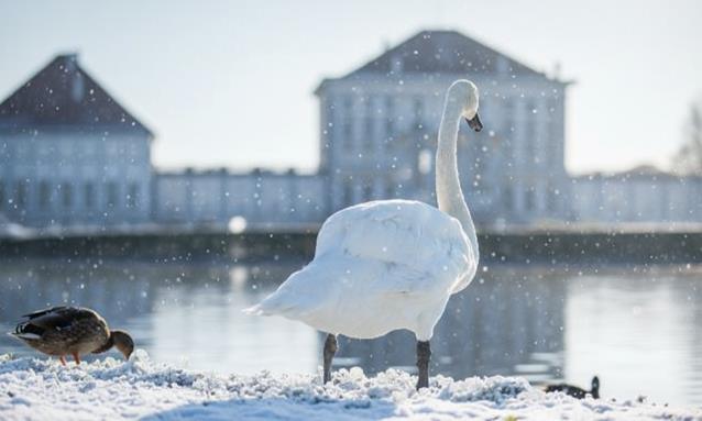 Kempinski Royal Residence Nymphenburg - Miscellaneous