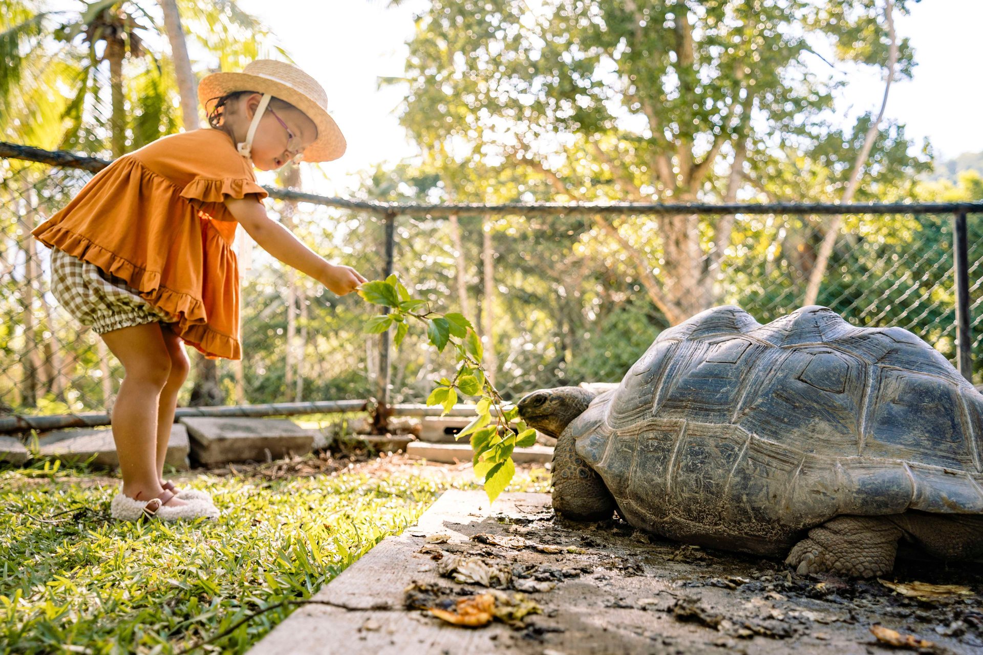 Tortoise Park