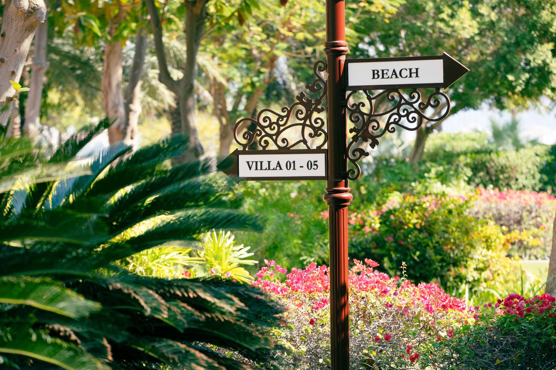 Earth Check Gold Certification: Five Years of Excellence