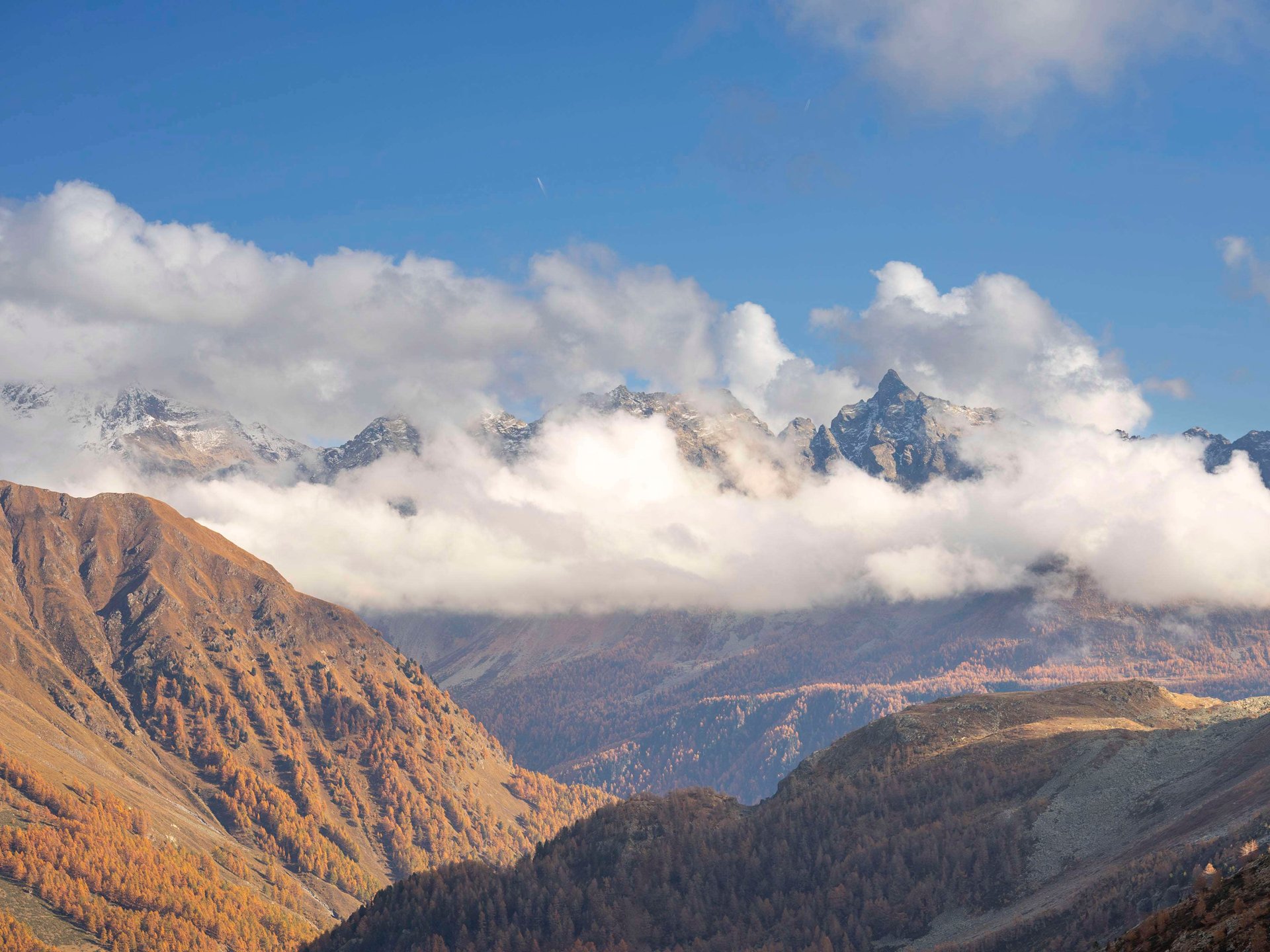 Auszeichnungen und Preise