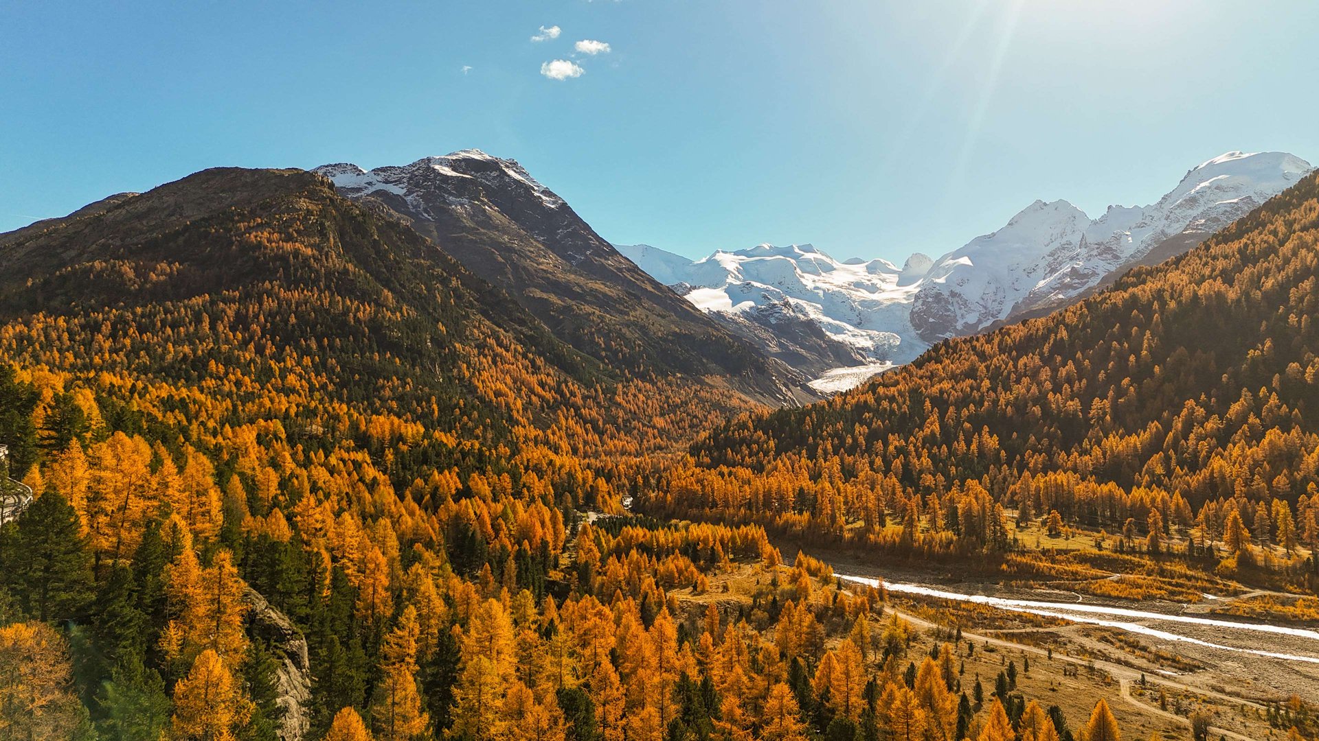 Longevity Forum 2025