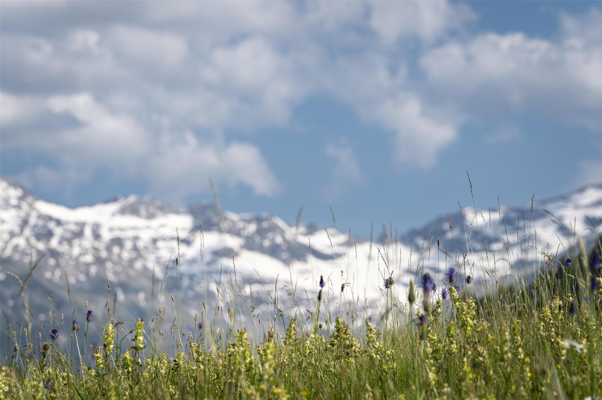 Engadin Tourism Pictures