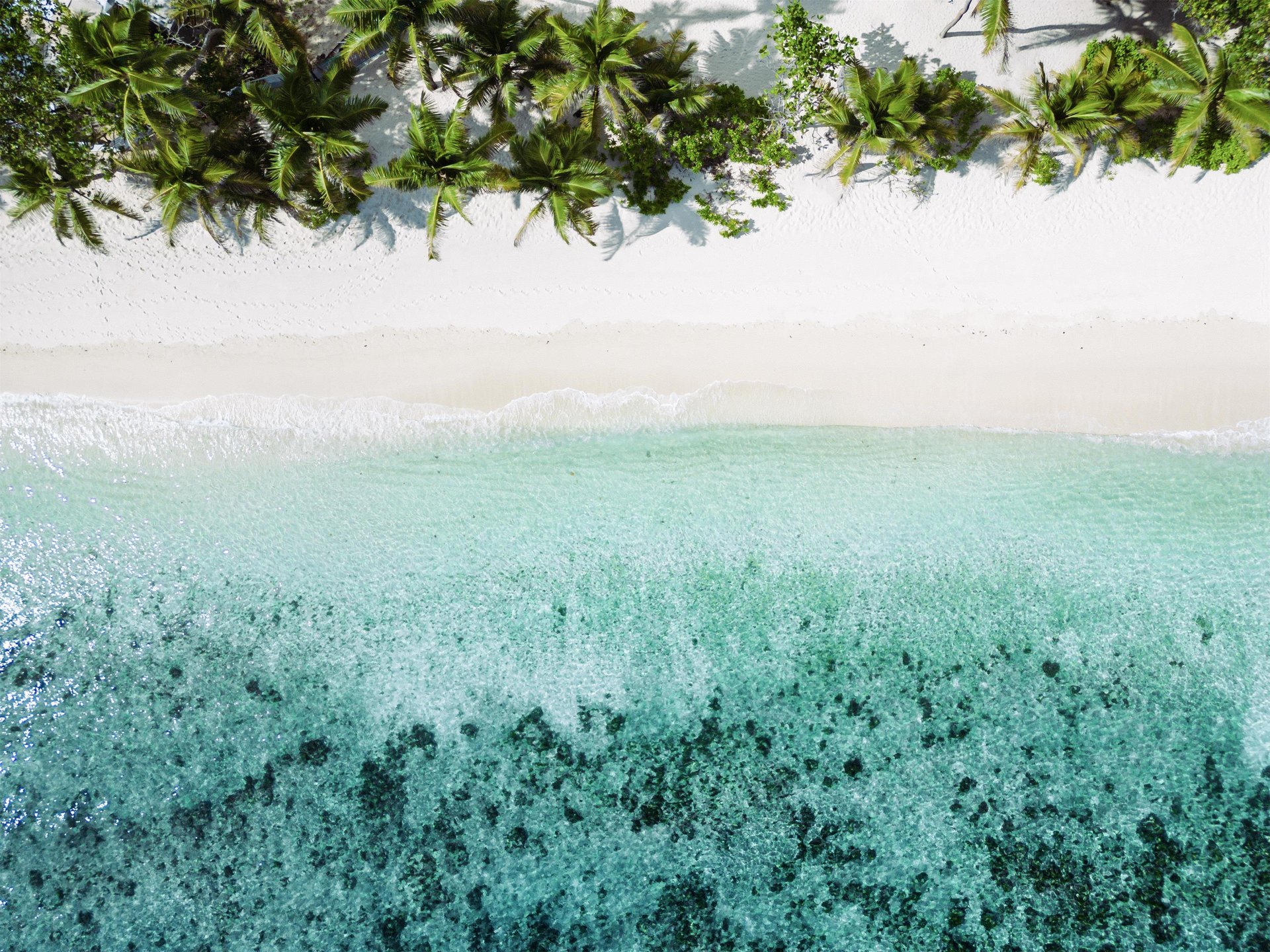 Little Explorers' Zone