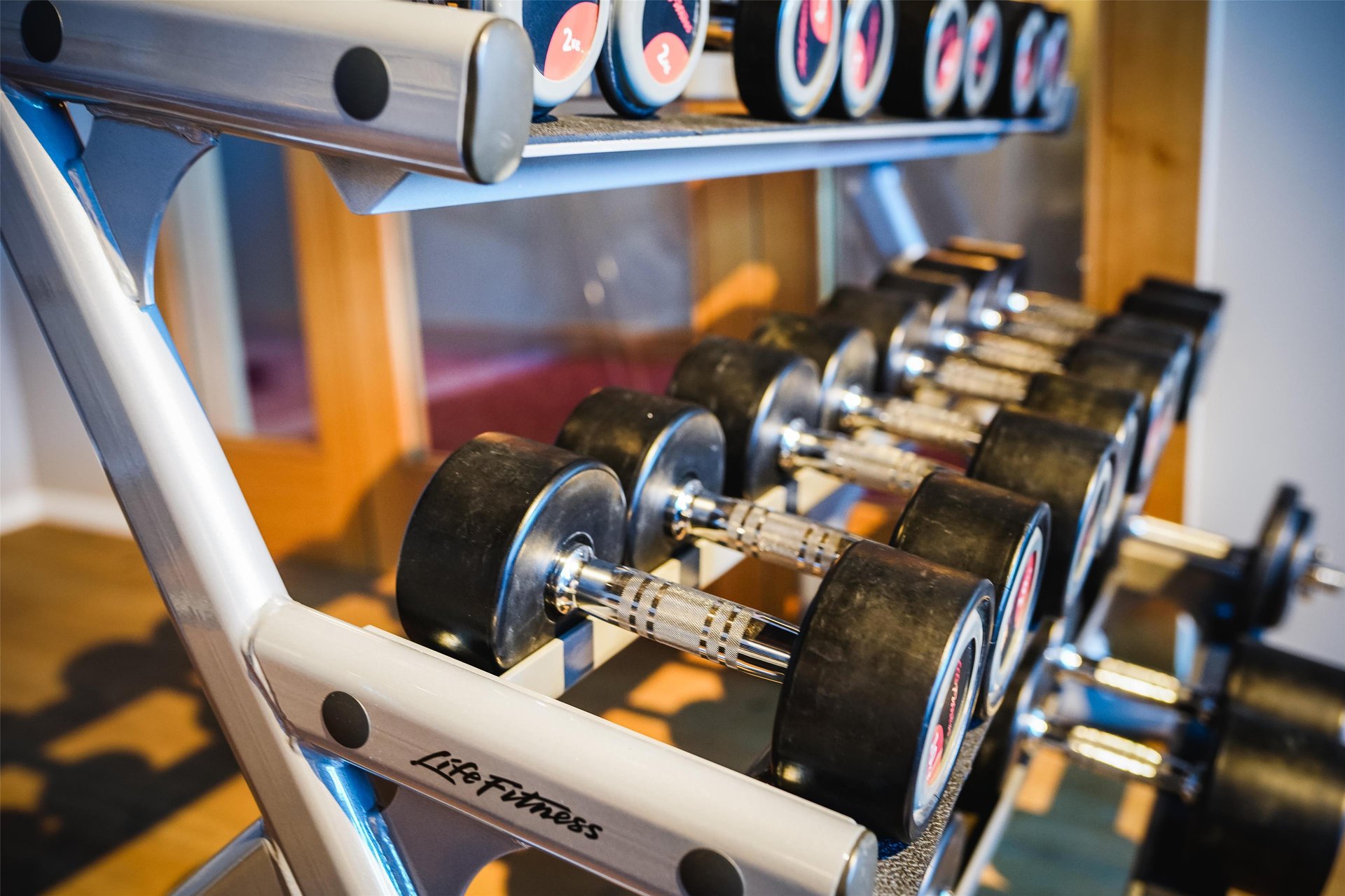 Frutt Lodge - Health club