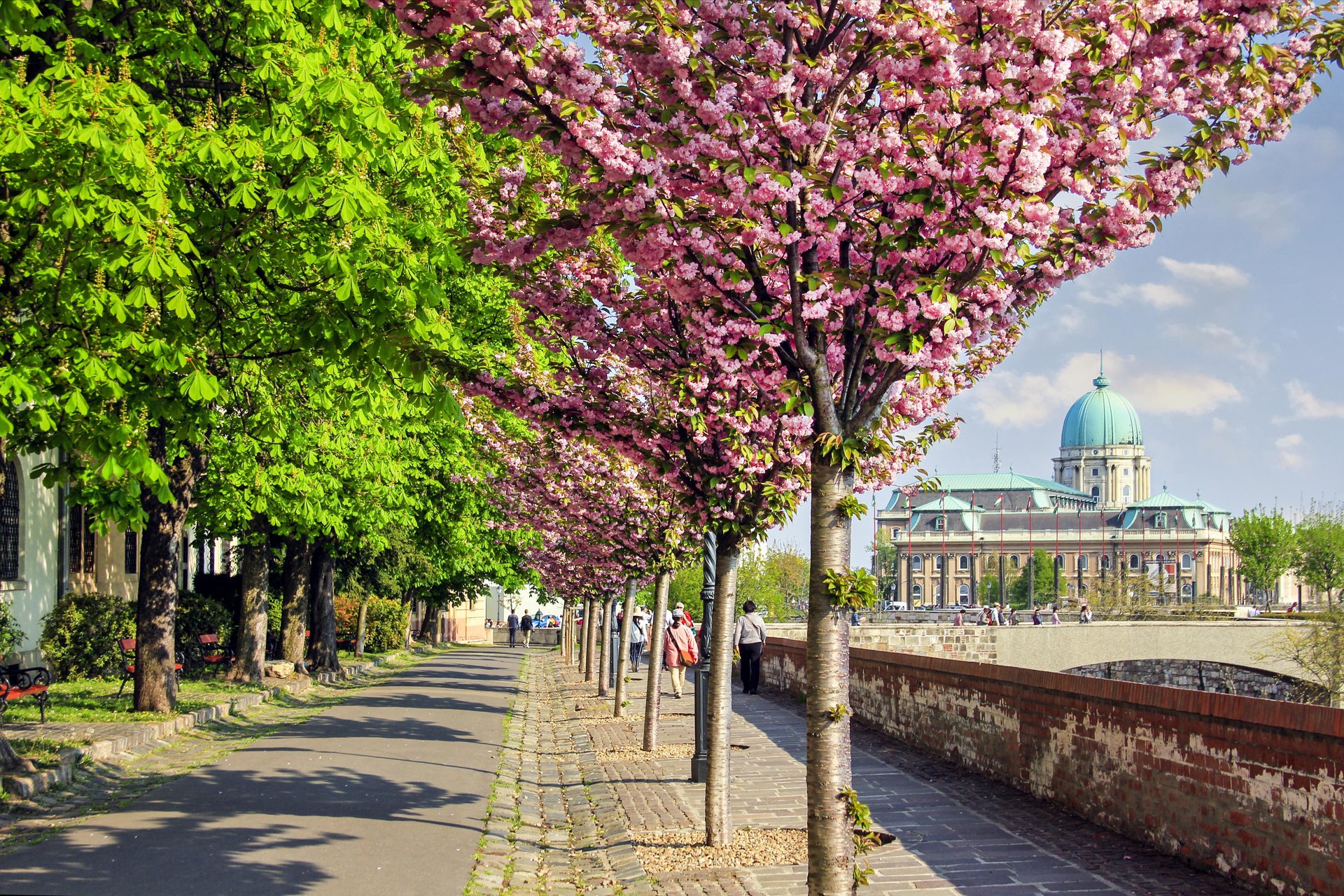 Frühling in Budapest