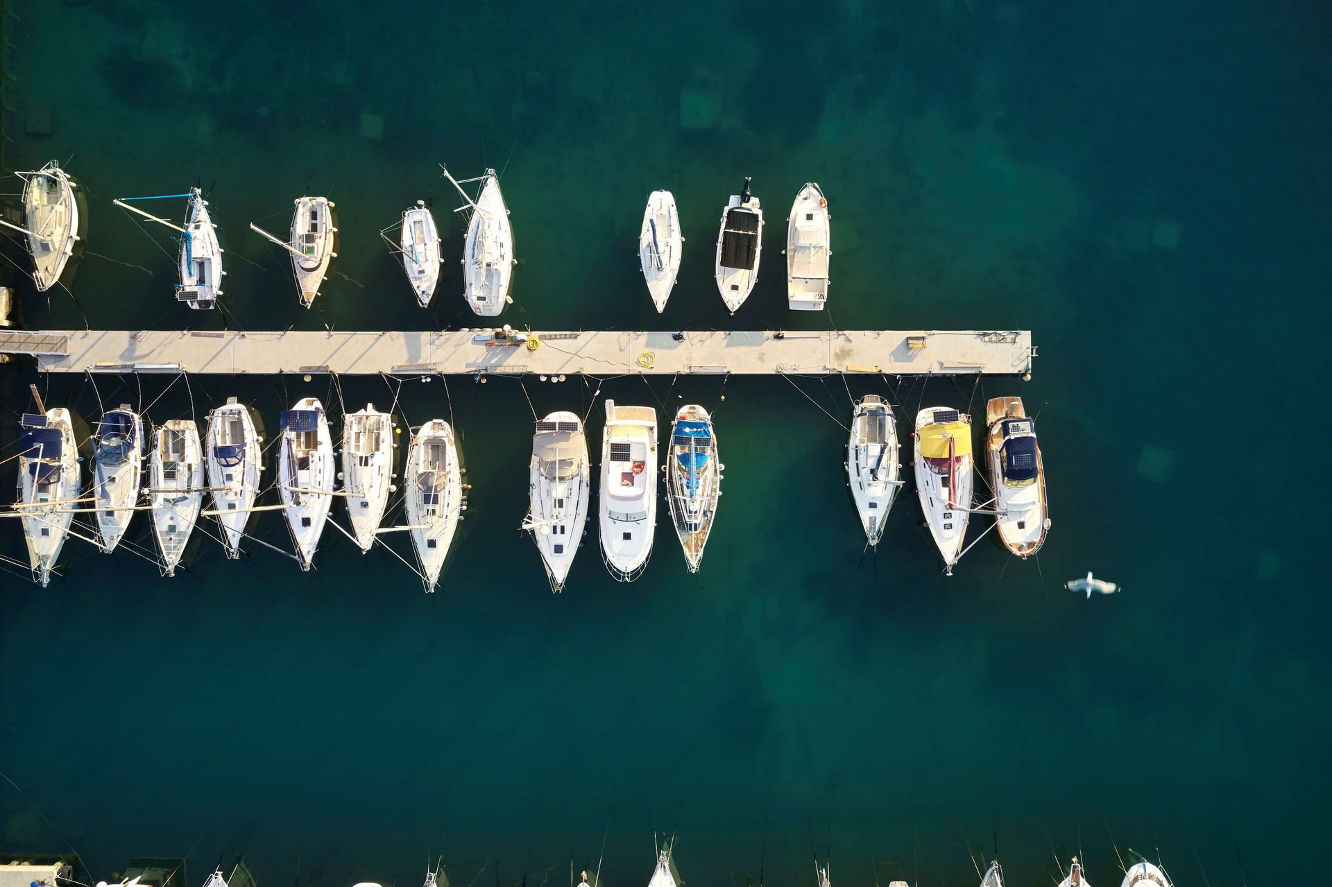 Welcome to Portorož