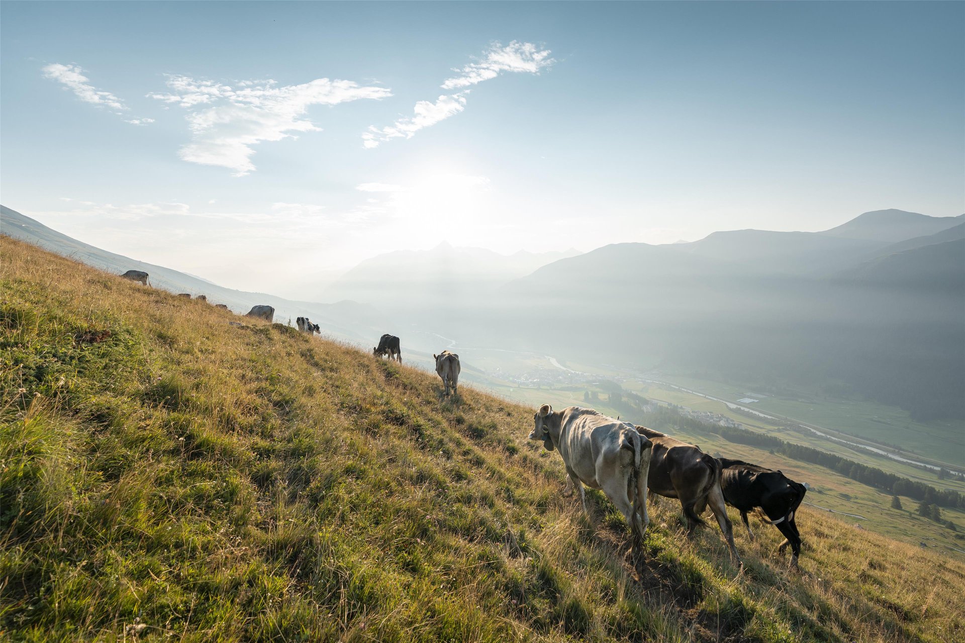 Kempinski Grand Hotel des Bains St.Moritz - Guest room