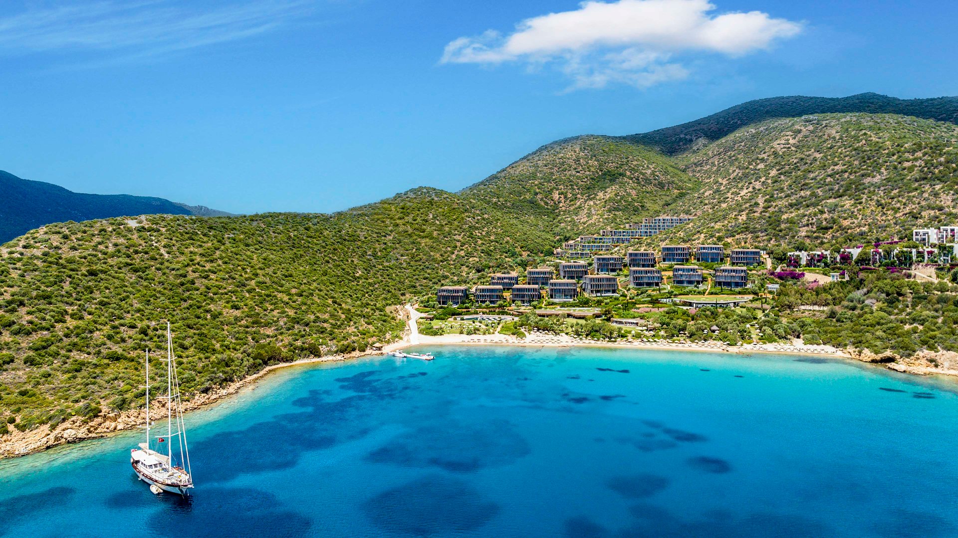 Hotel Overview