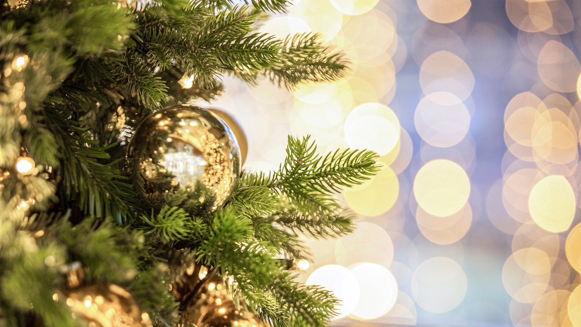 Festive Season in Beirut