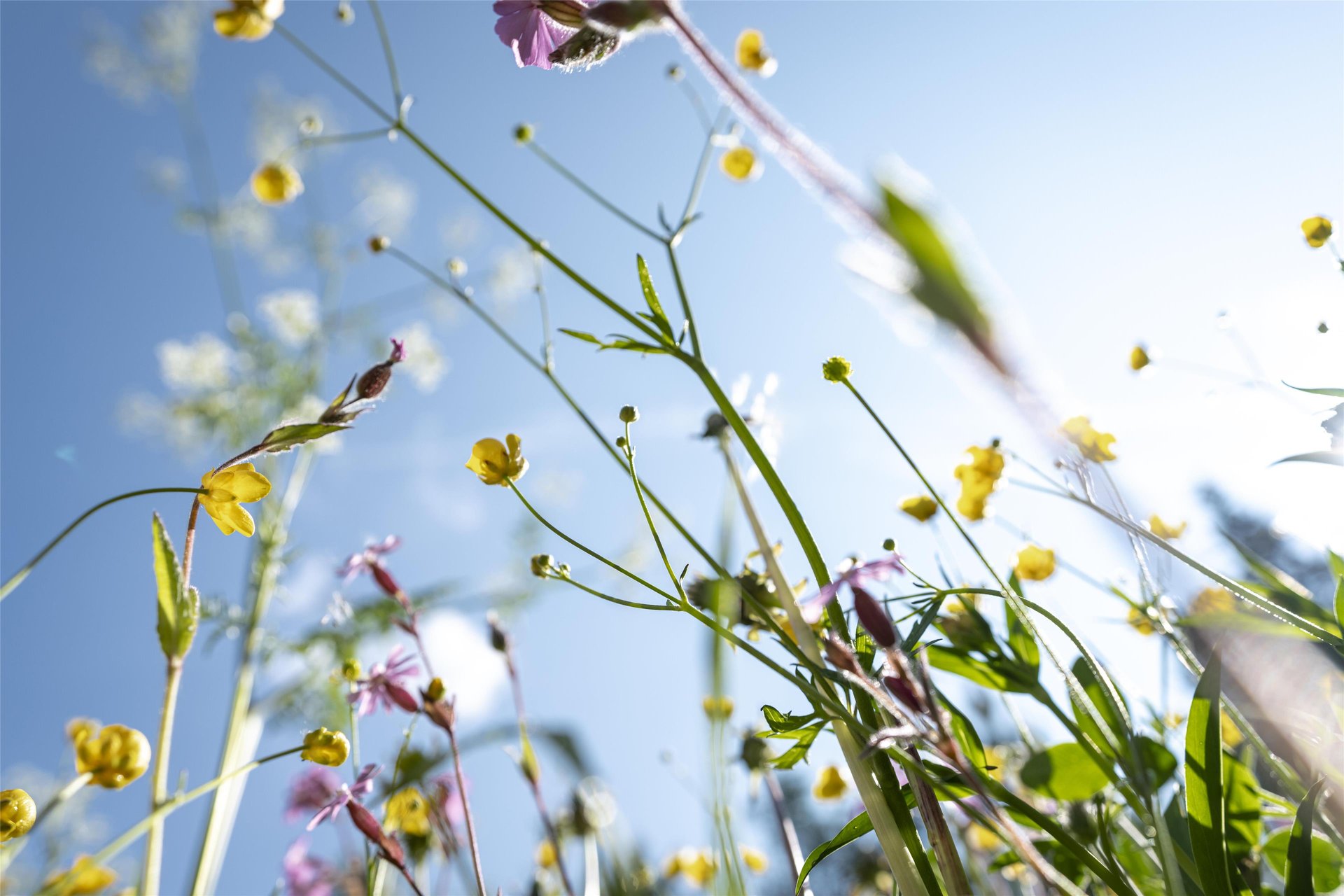Kempinski Grand Hotel des Bains St.Moritz - Miscellaneous