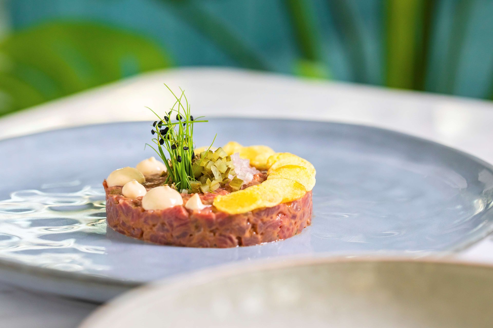News from Palm Jumeirah, Dubai