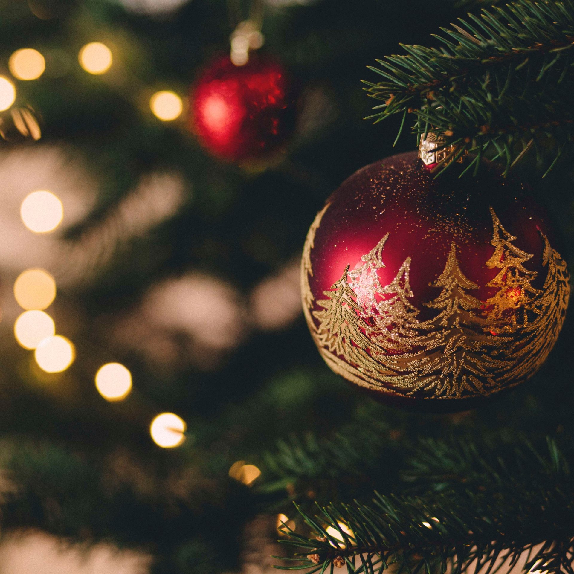 Festive Season in Seychelles