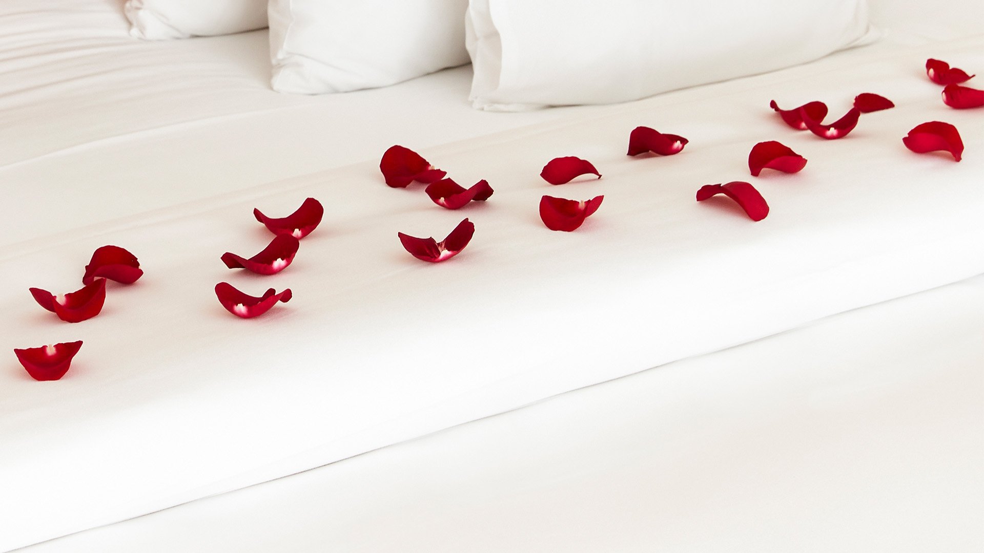 The Red Sea Honeymoon