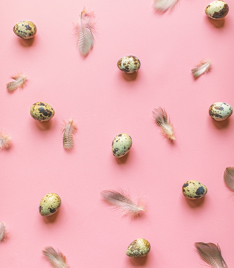 SP_port_2023_Easter_Quail-eggs-and-feathers-on-pink_960x1100px.jpg