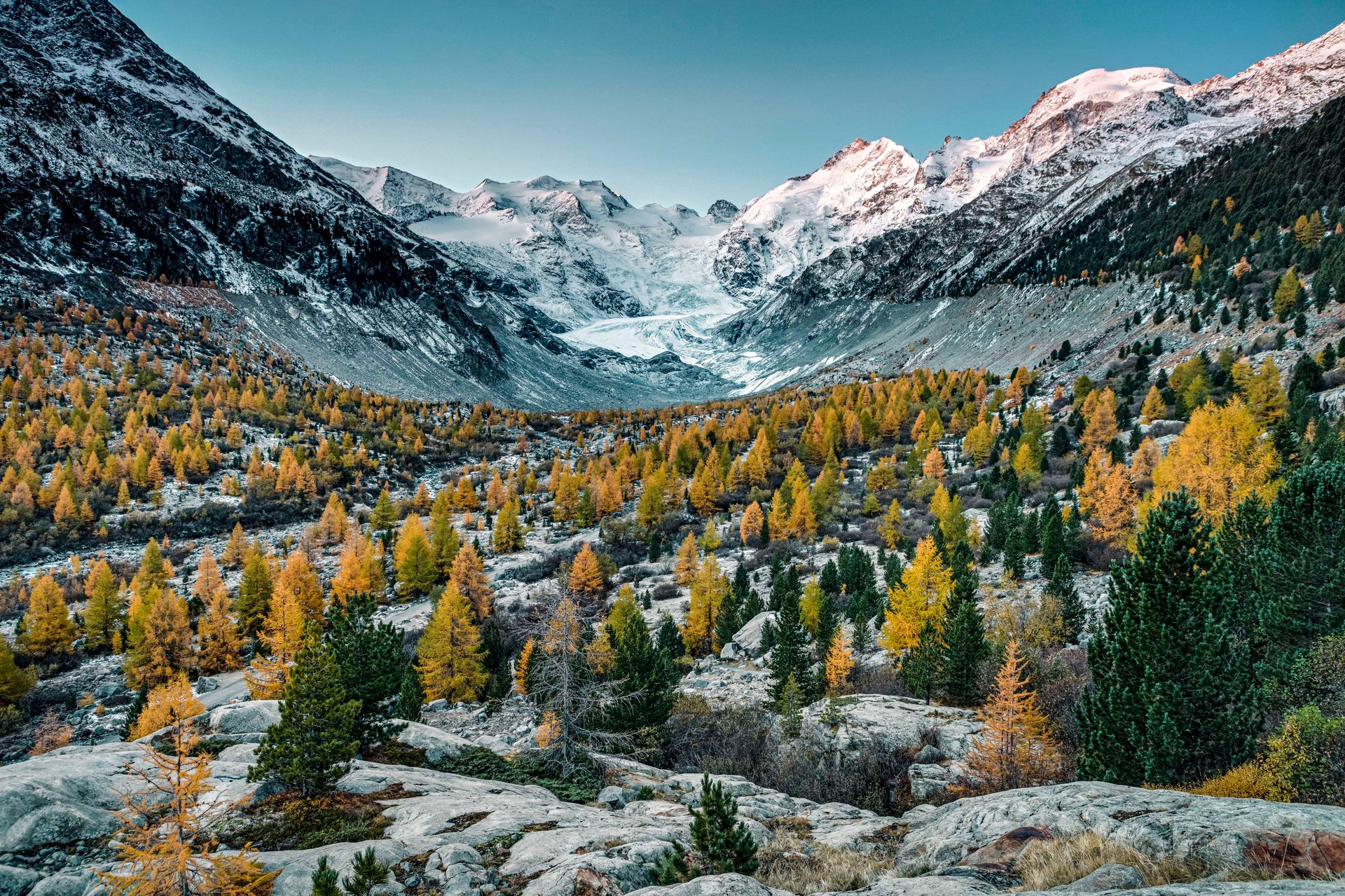 The Morteratsch Glacier