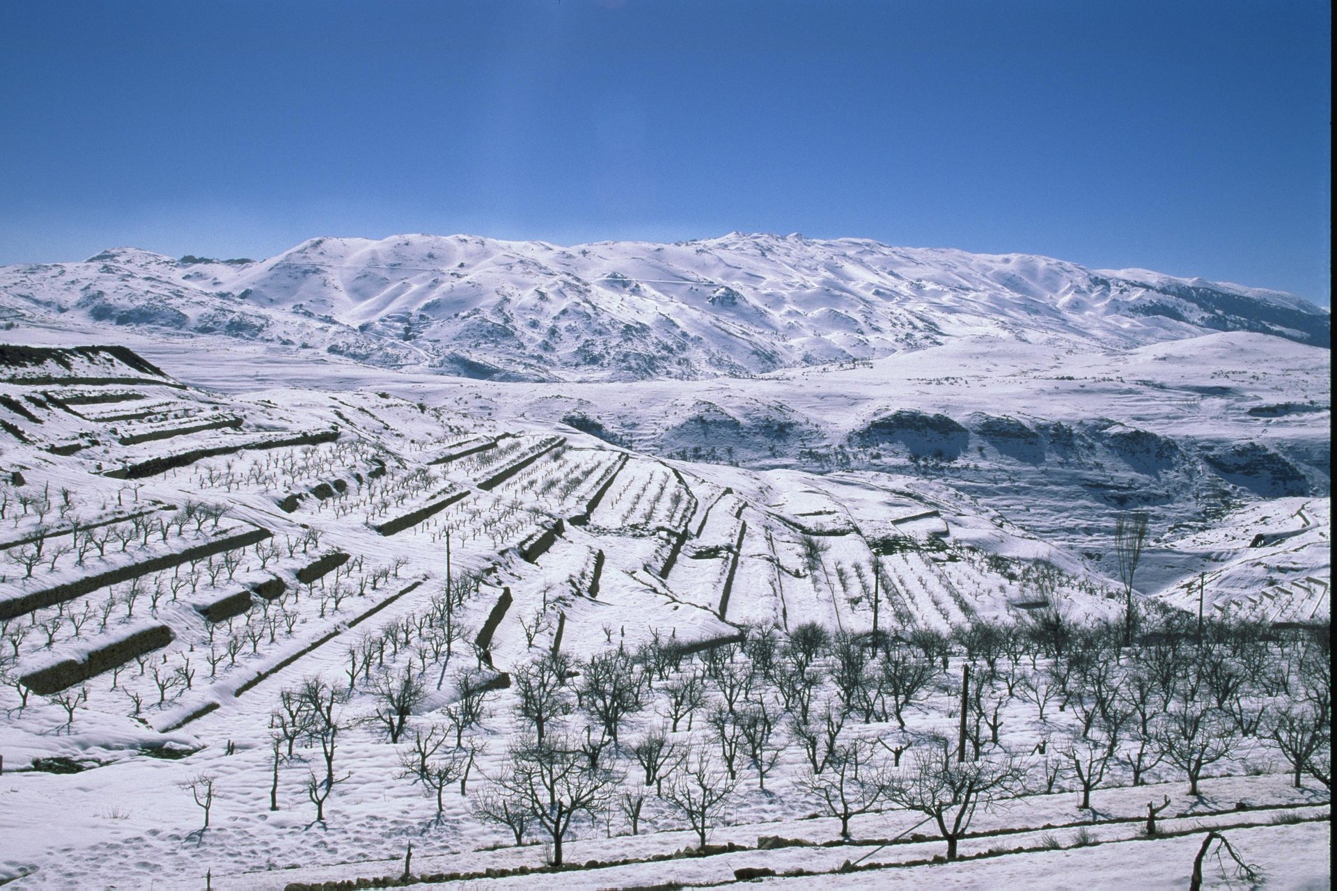 From Sea to Snow: A Luxury Winter Itinerary