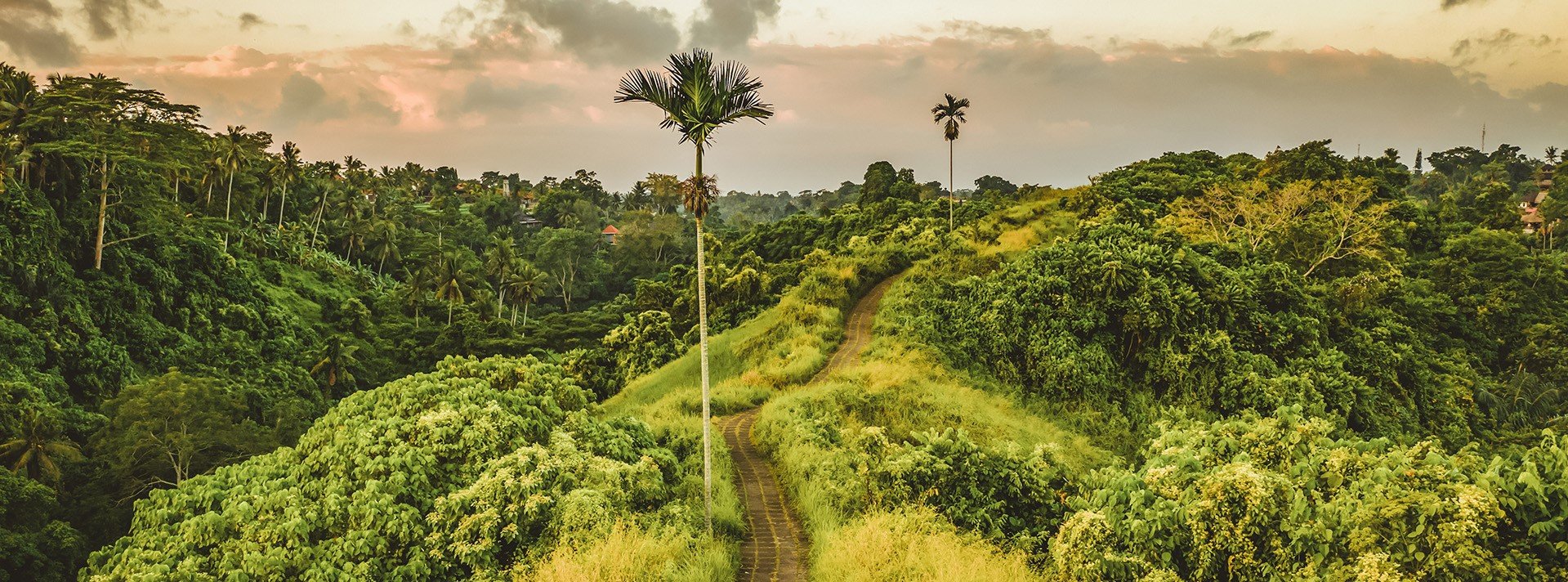 e3c194f20a3b-Ubud_Destination_Lady-in-Red_copy.jpg