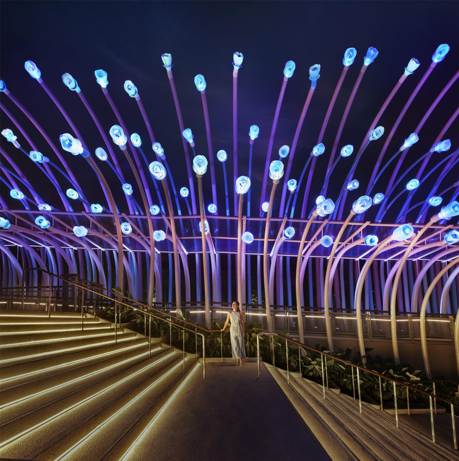 KISIN1 - 2025 - Collaboration - Sentosa Experience