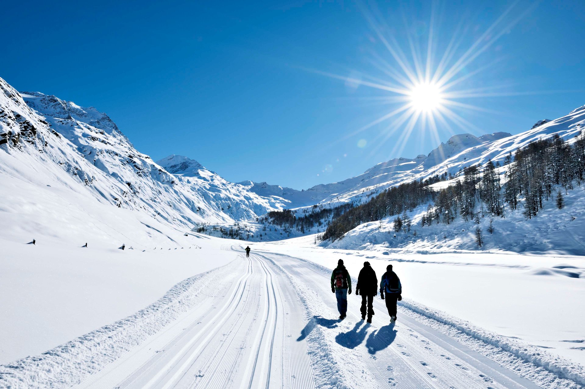 Winter Wonderland