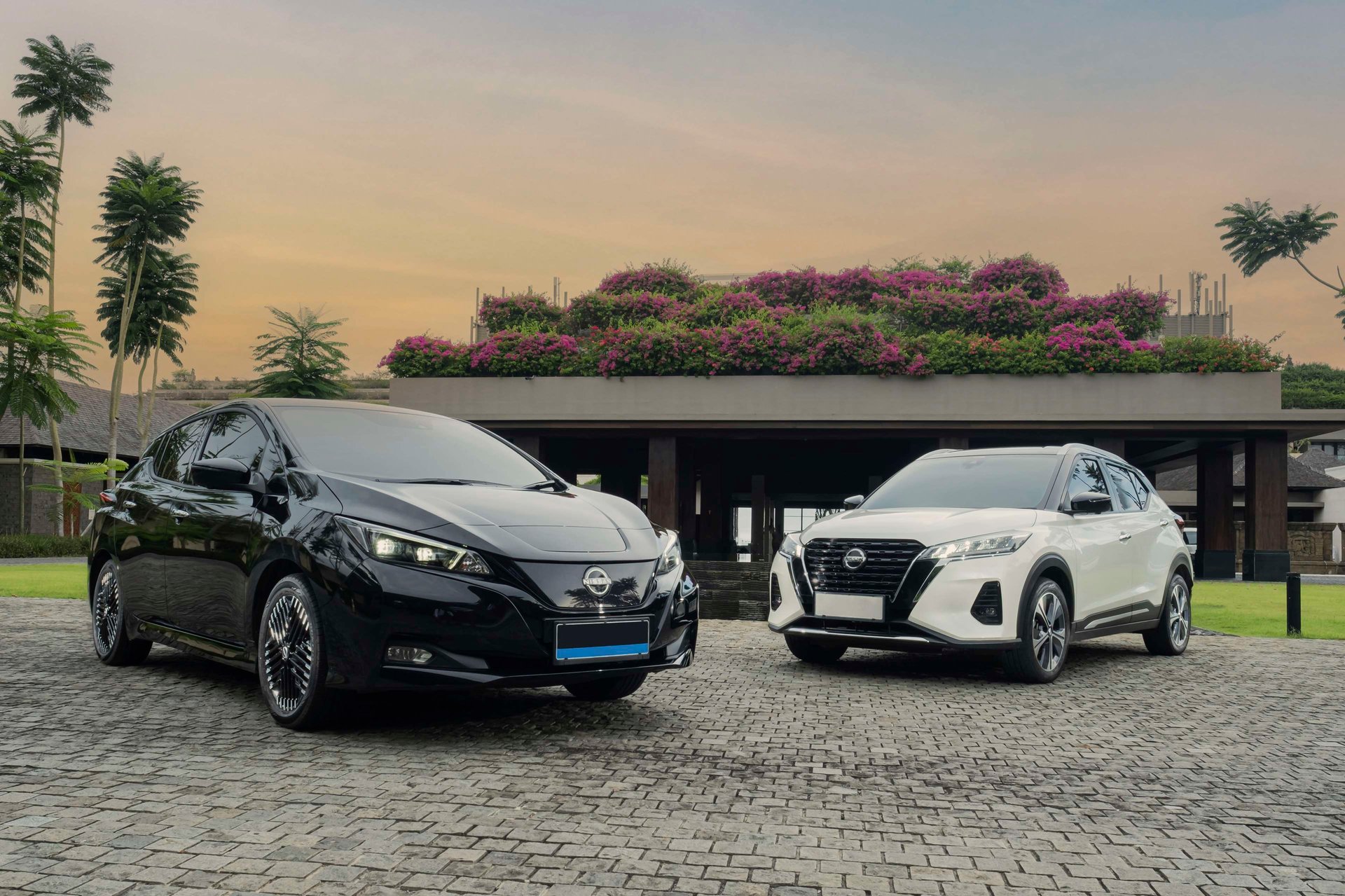 Electric Vehicle Experience