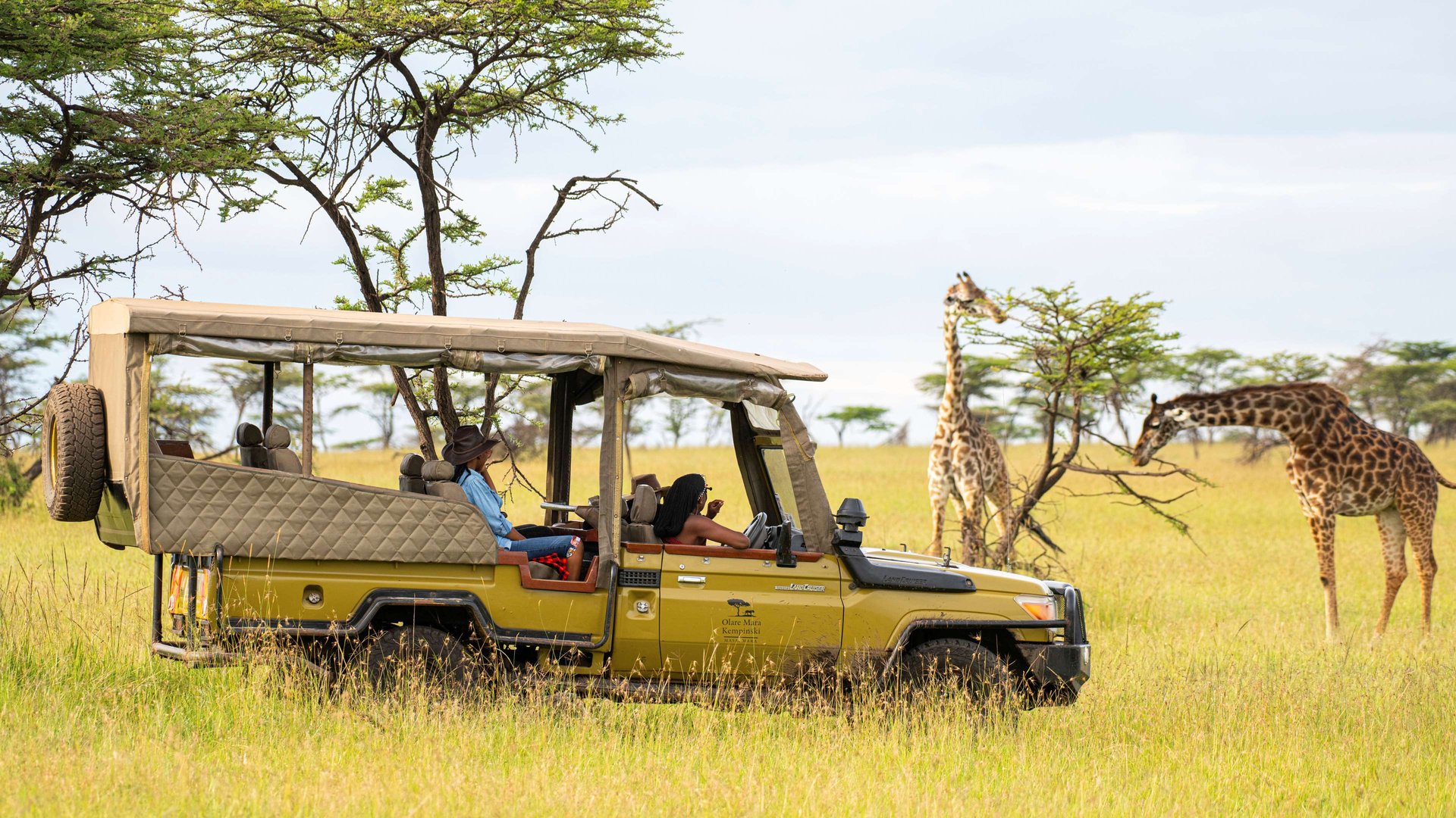 Safari Know How