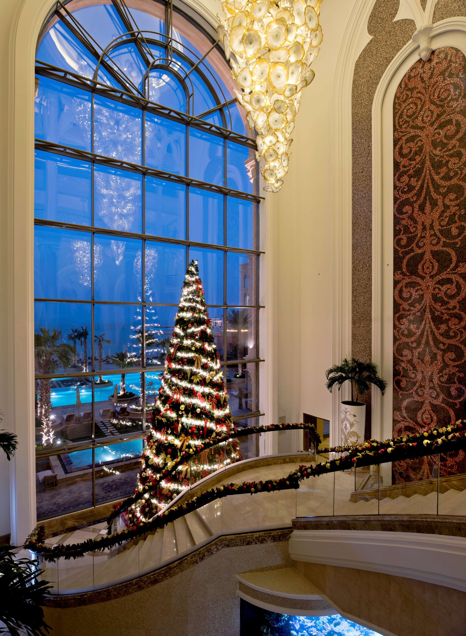 Festive Splendor: Tree Lighting Ceremony